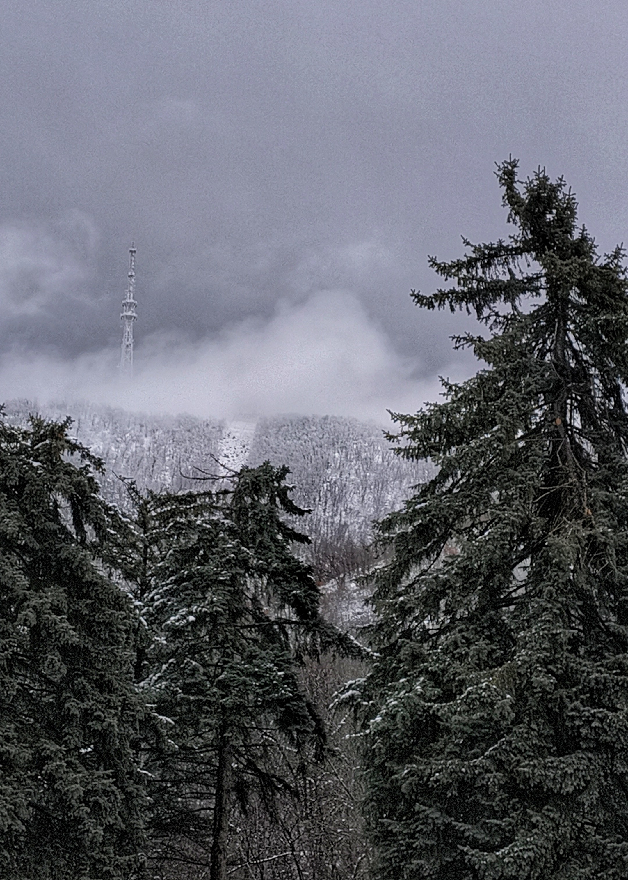 Фотографии зимнего Пятигорска. Фотосайт Андрея Прокопенко