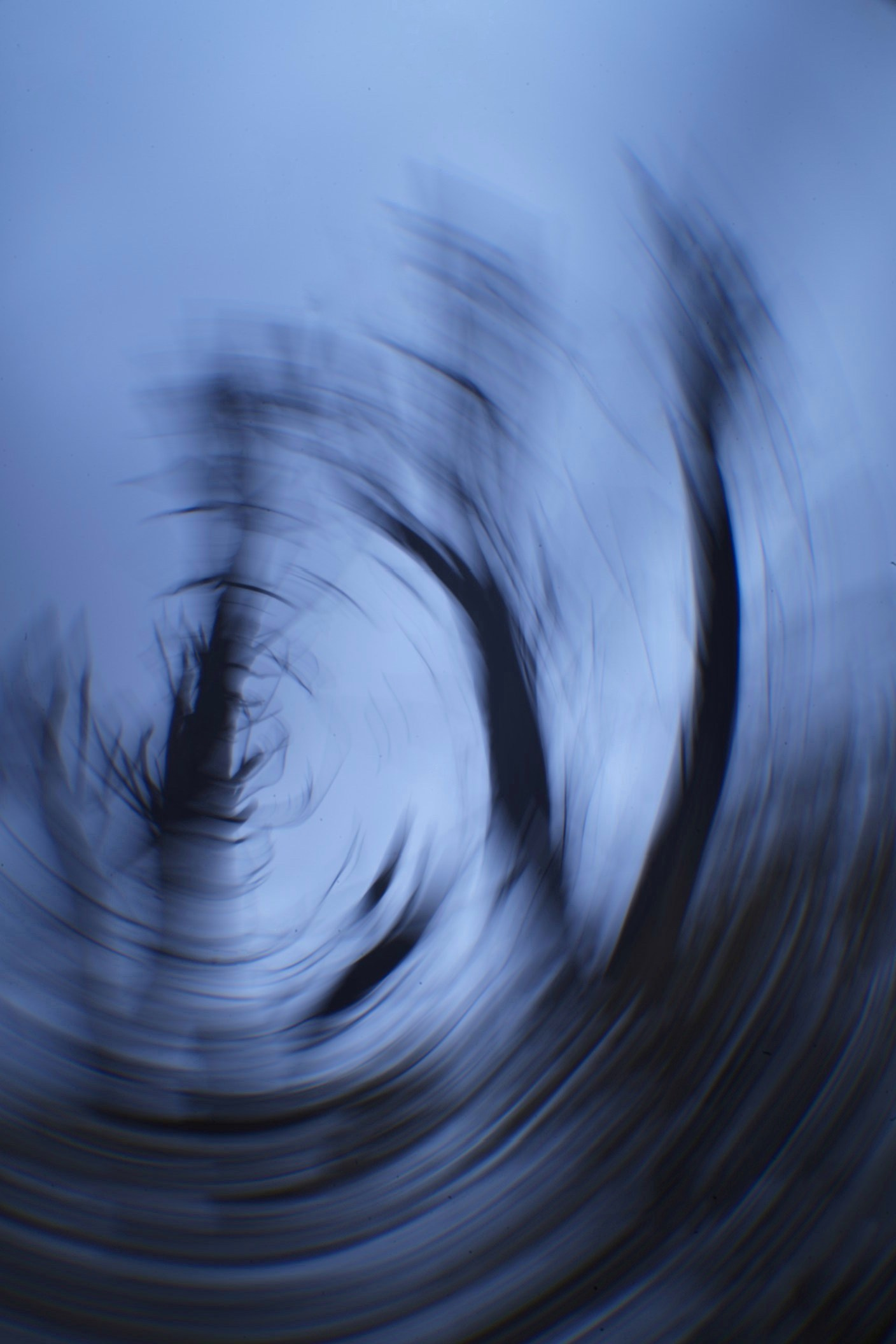 ARTWORKS (ART BEYOND REASON). International visual artist