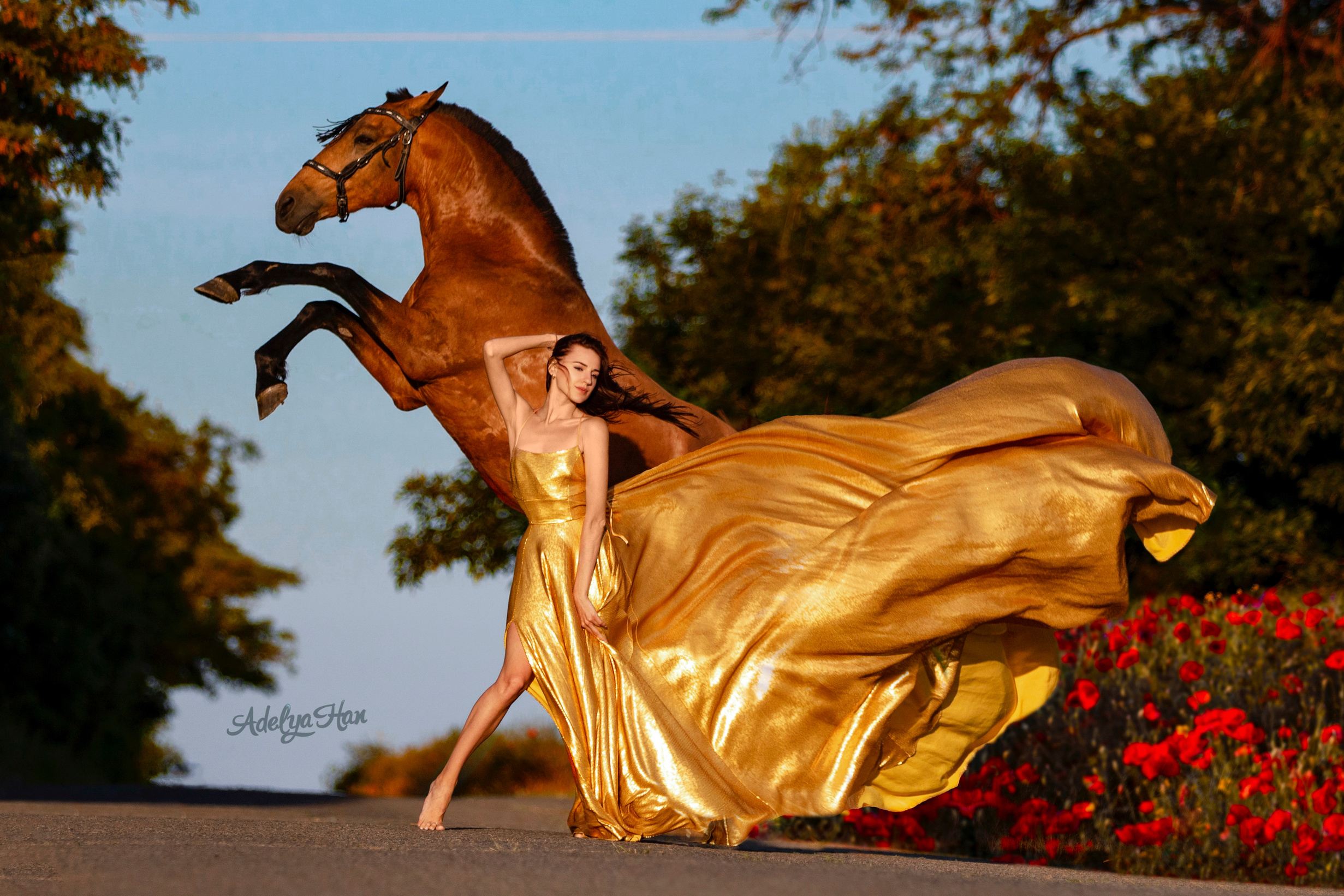 Услуги. Конный и театральный фотограф Анапа