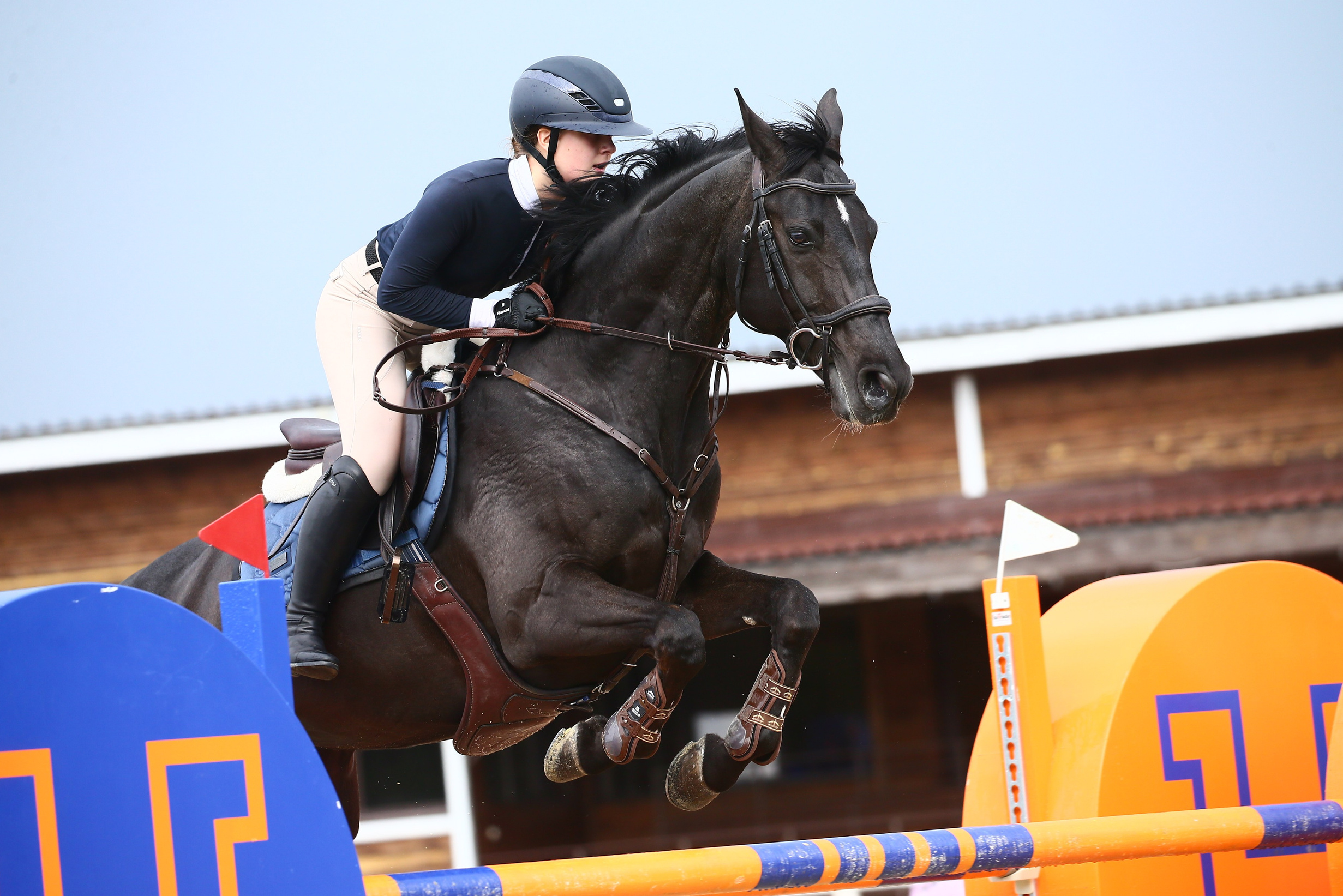 Купить фотографии с турниров. KatymartArt — Equine photography