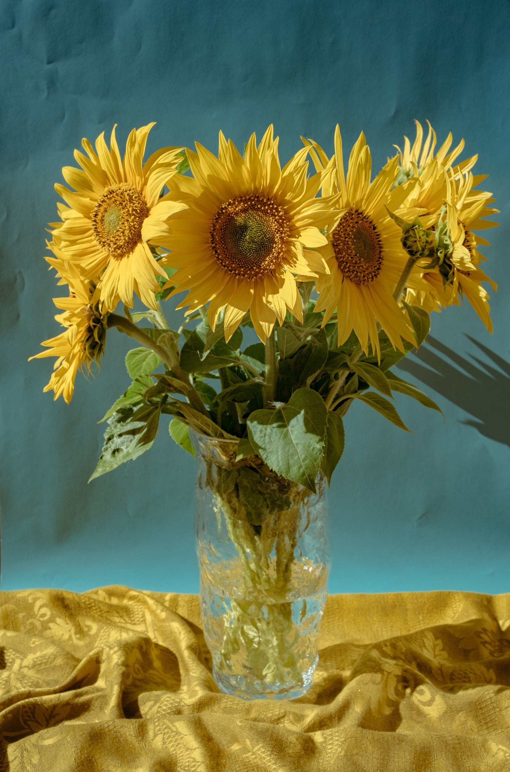 Цифровая фотография для печати интерьерного постера.