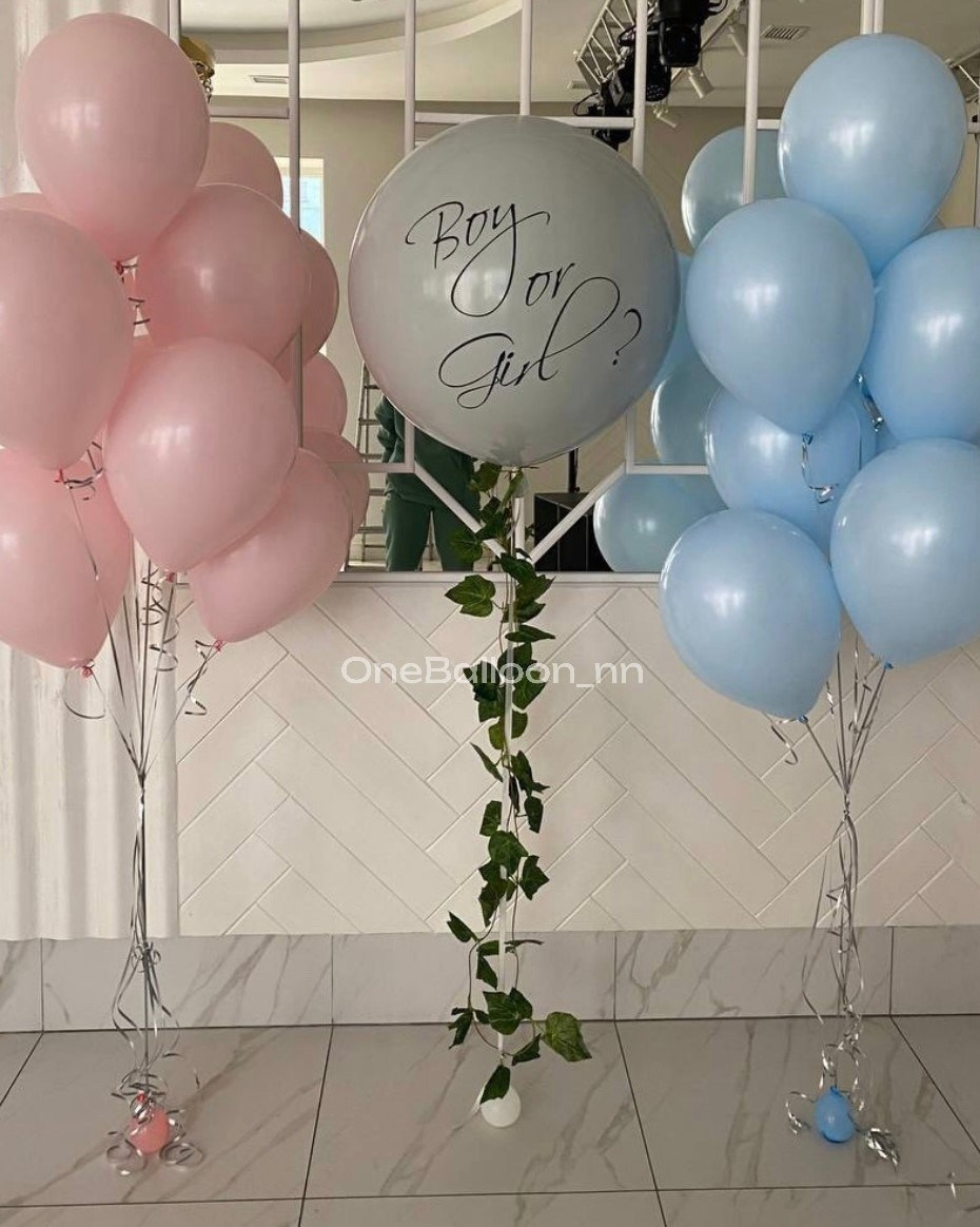 Узнать пол ребенка девочка мальчик. One Balloon Воздушные и гелиевые шары Фотозоны Нижний Новгород