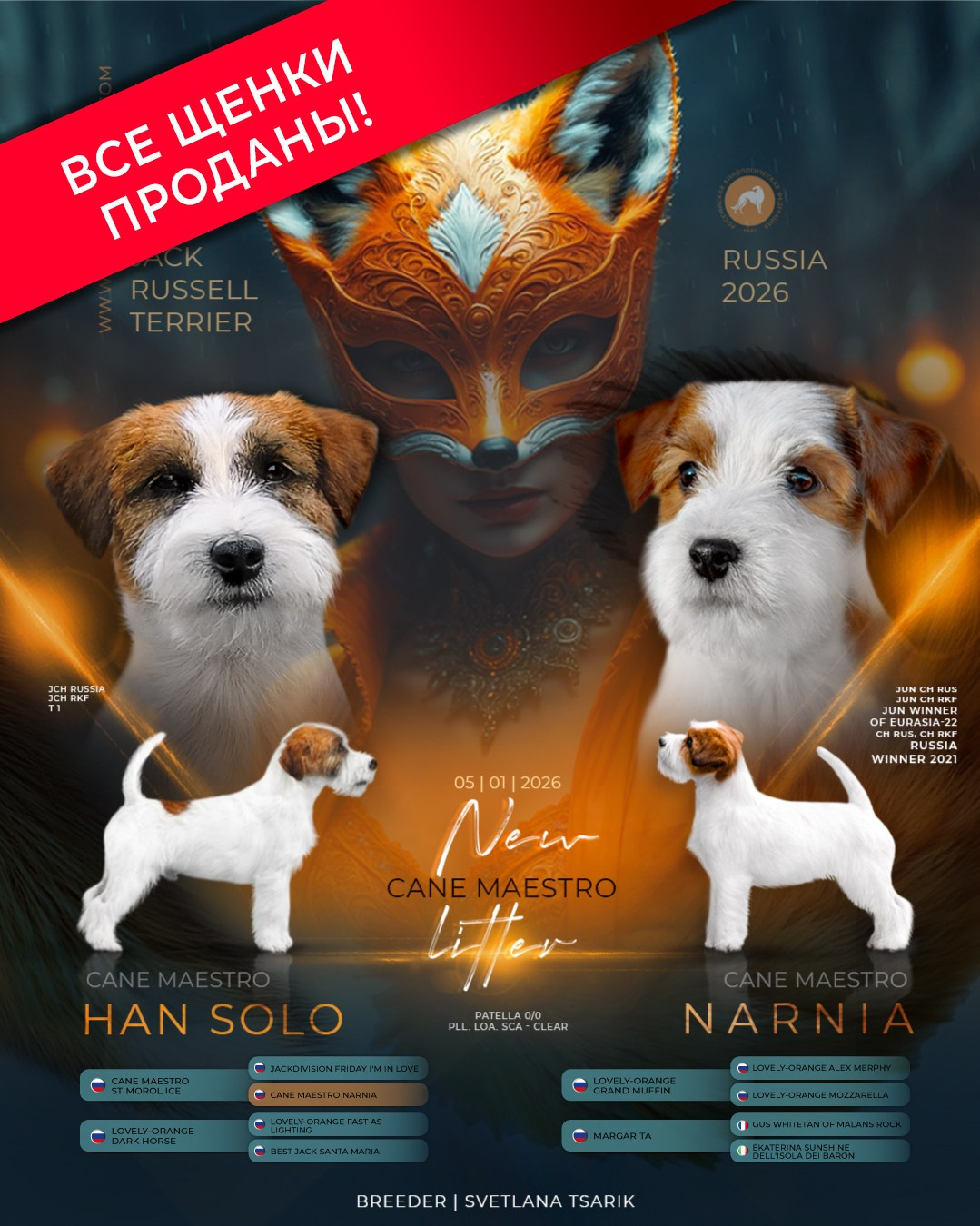 LITTERS. CANE MAESTRO — kennel Jack Russell Terrier