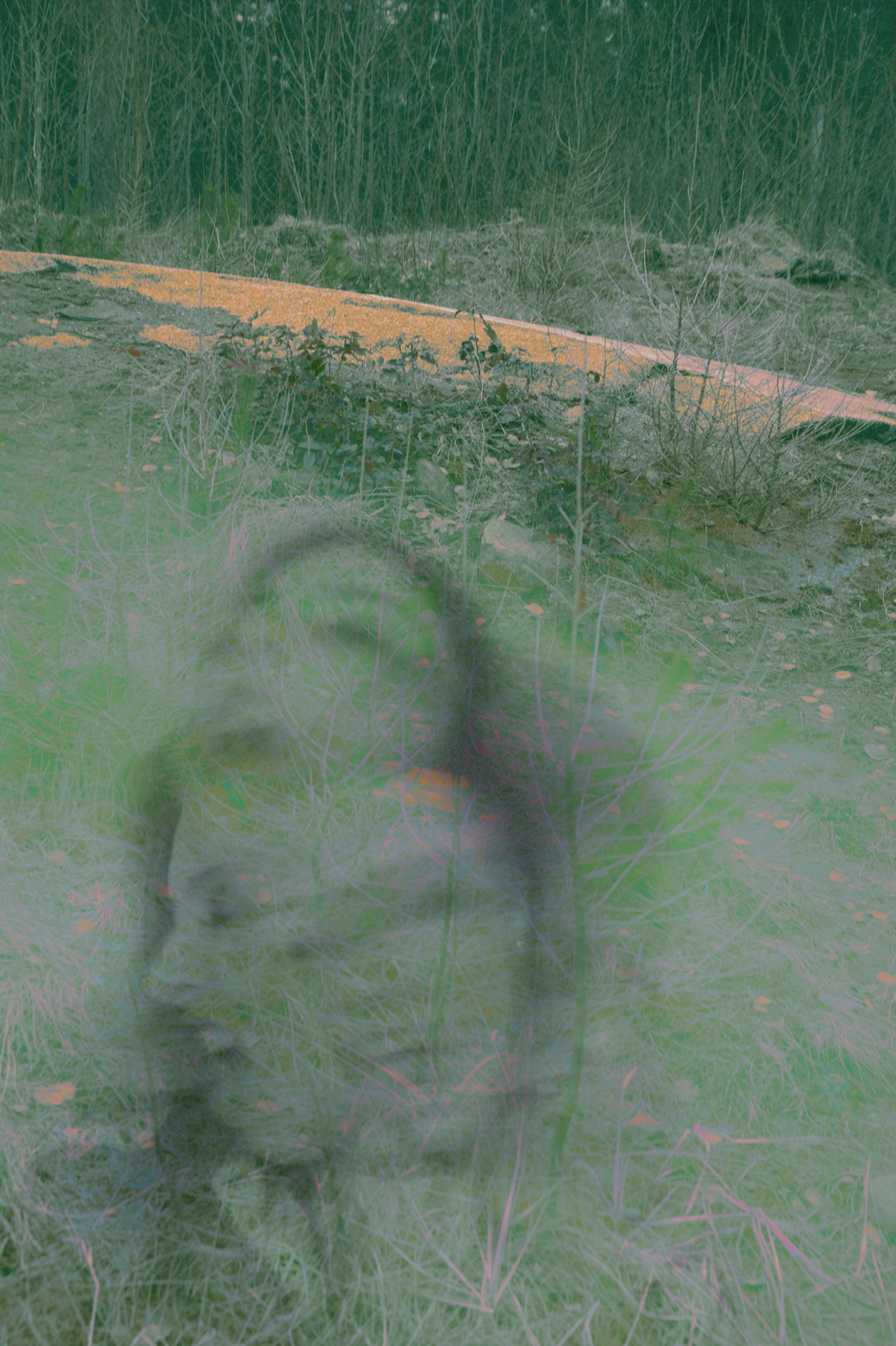NFT. Aleksandr Nariadchikov — Visual Artist & Game Developer