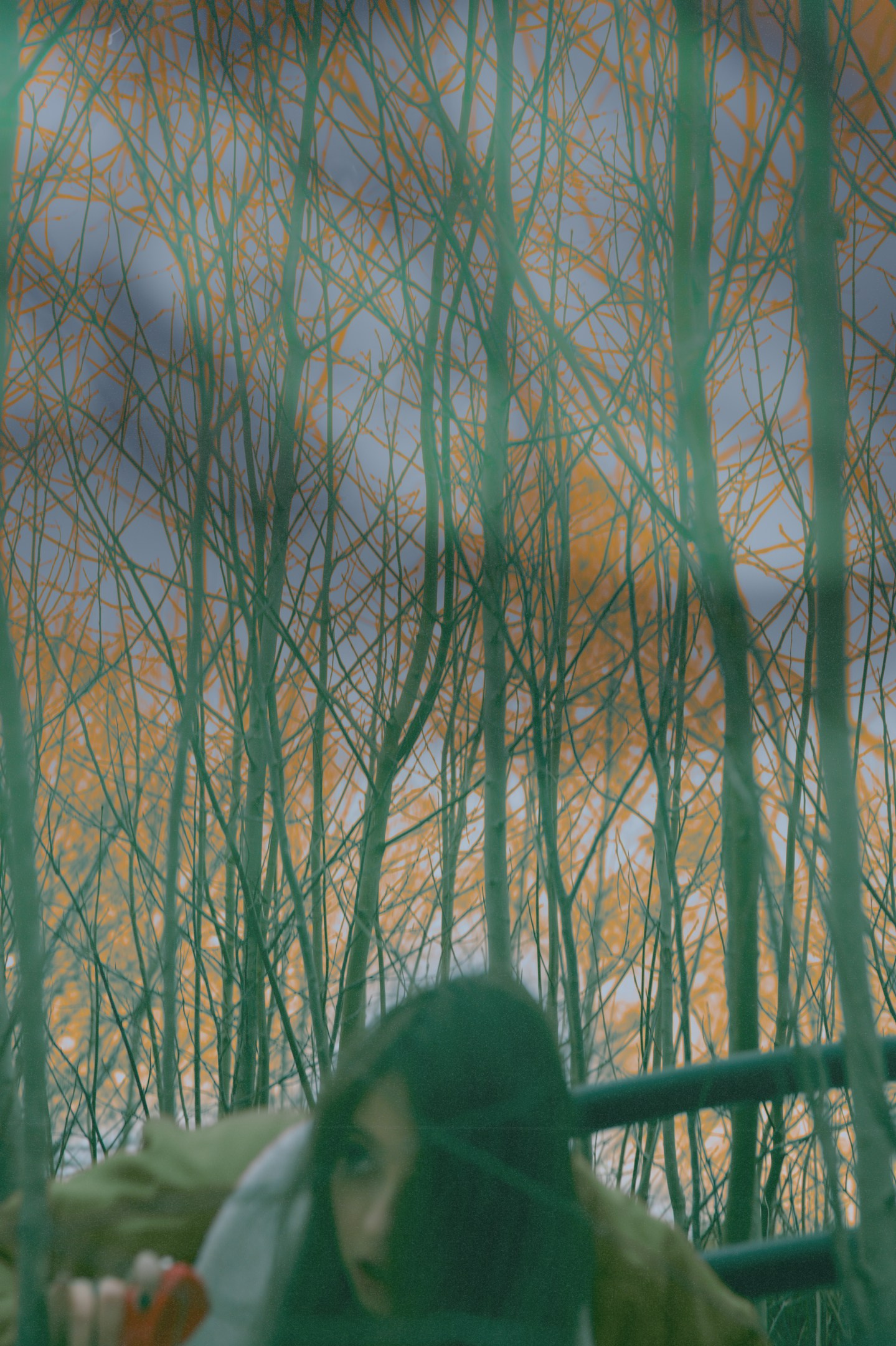 NFT. Aleksandr Nariadchikov — Visual Artist & Game Developer