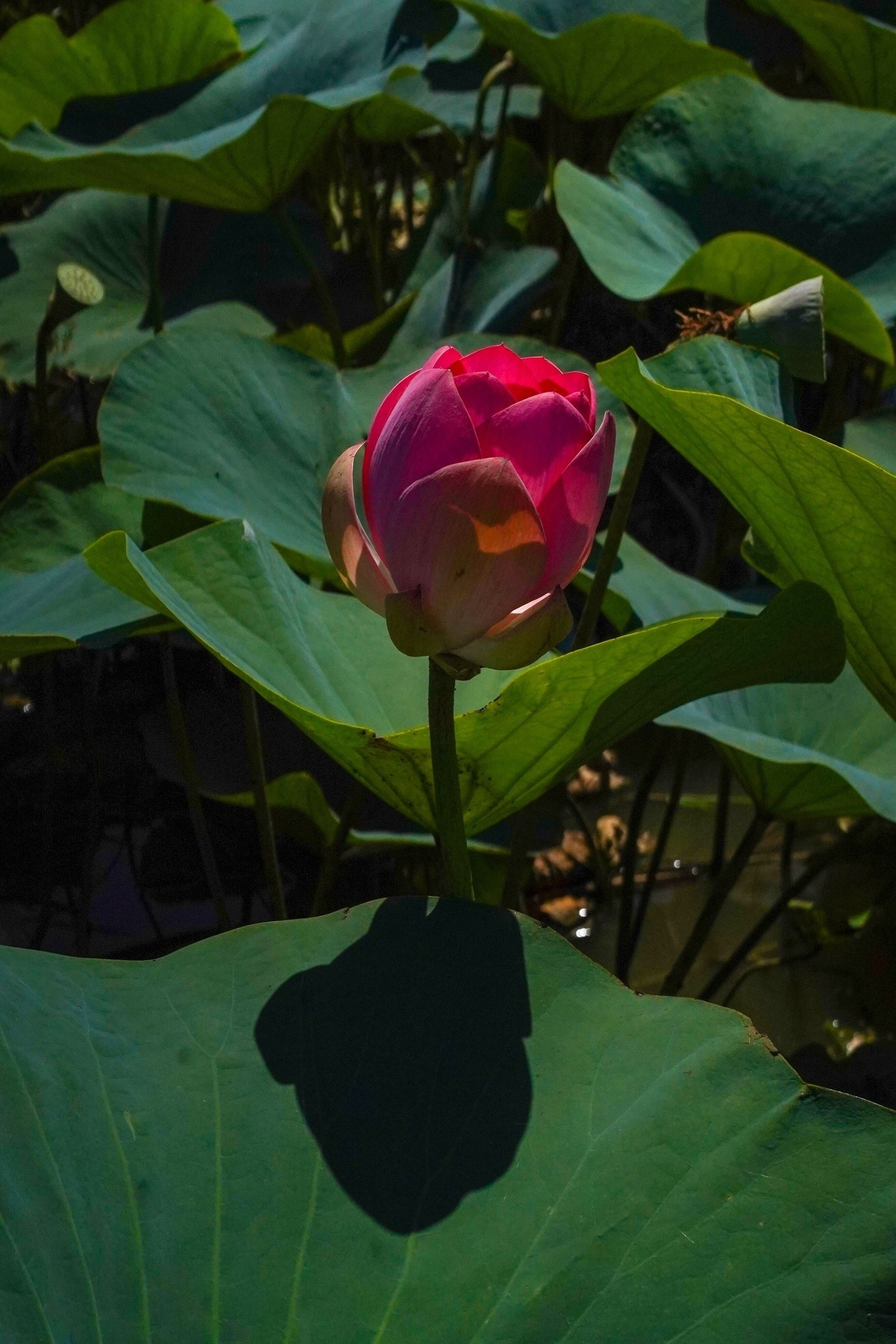 Фотографии из фото-туров. Фотограф в Астрахани • Фото-туры • Виктория Герма