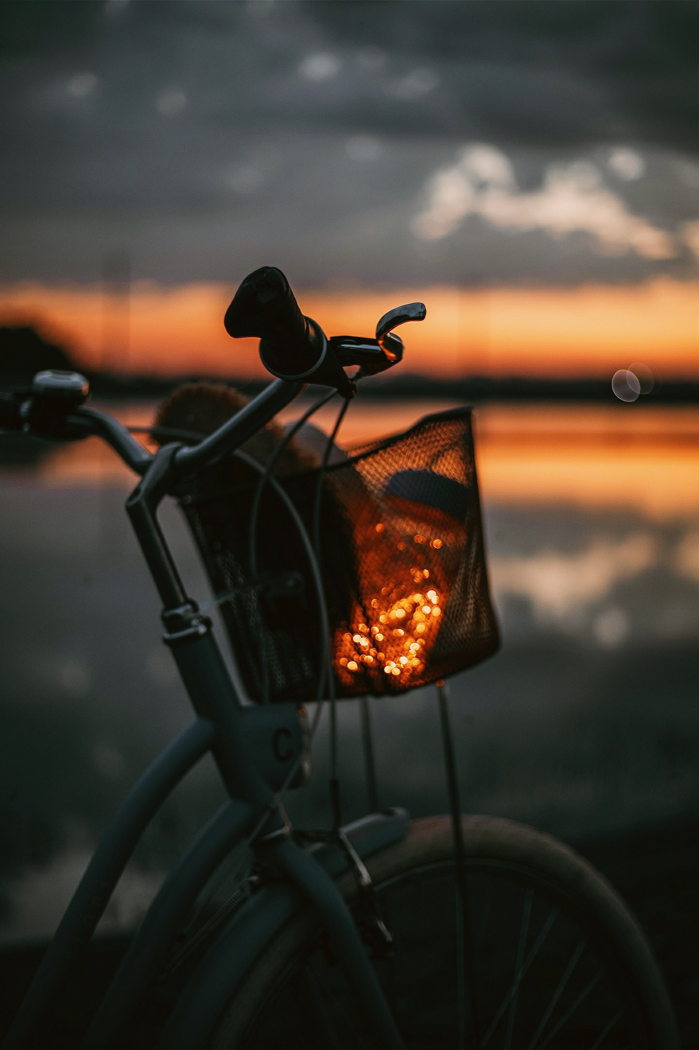 Услуги. Фотограф Вячеслав Немченко