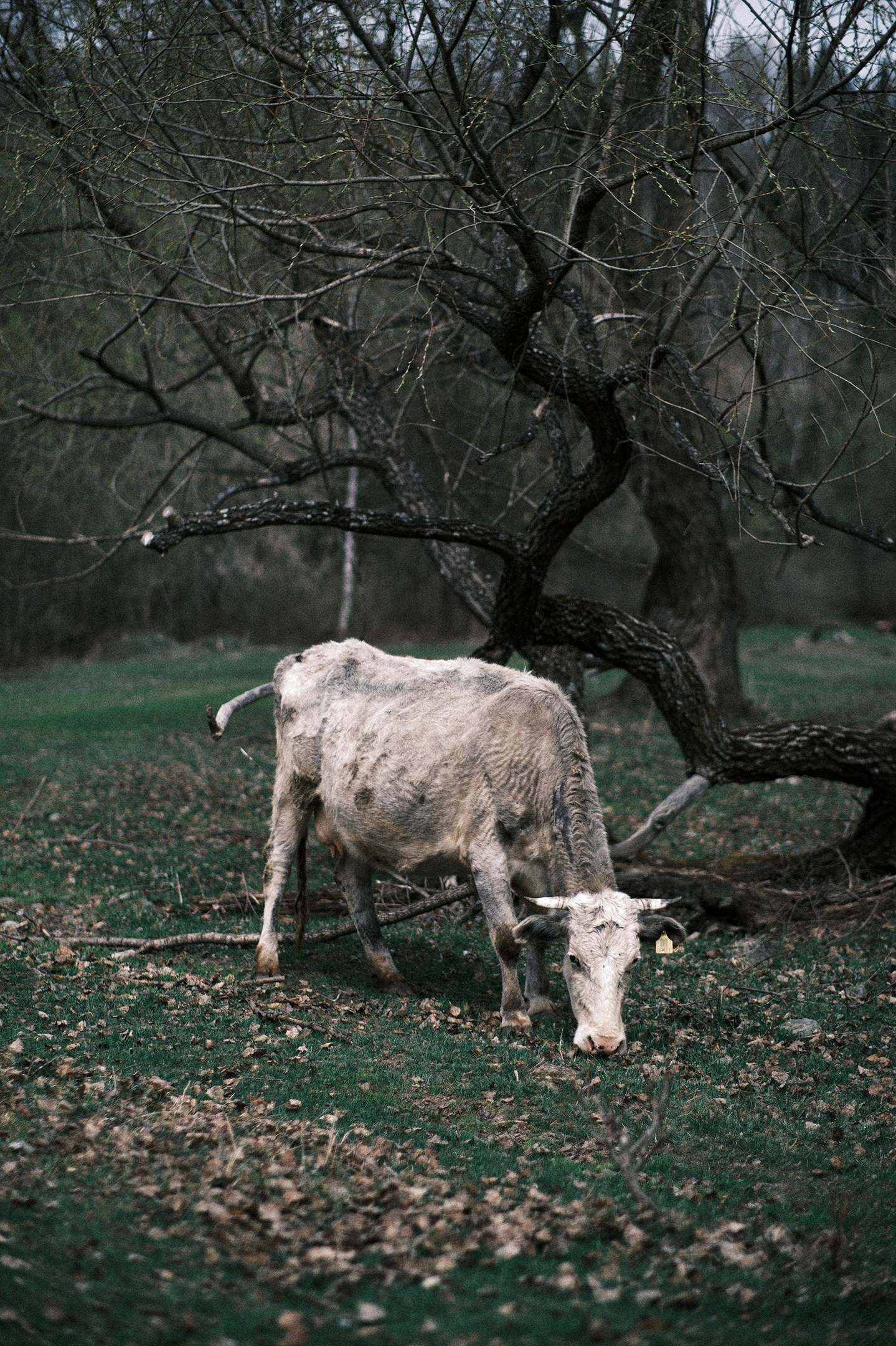 Телецкое озеро, 2022