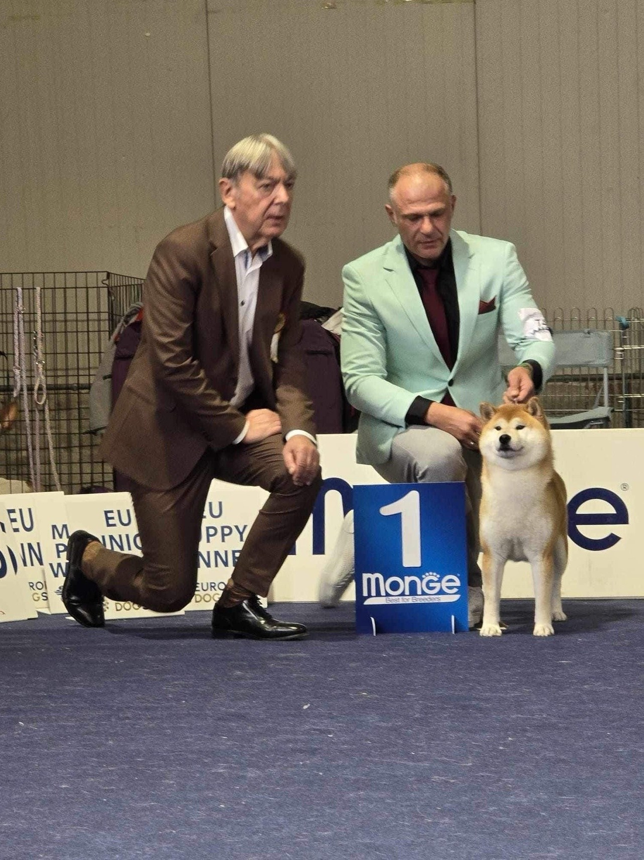 2024. SHIOMARU Shiba and Akita Inu Kennel