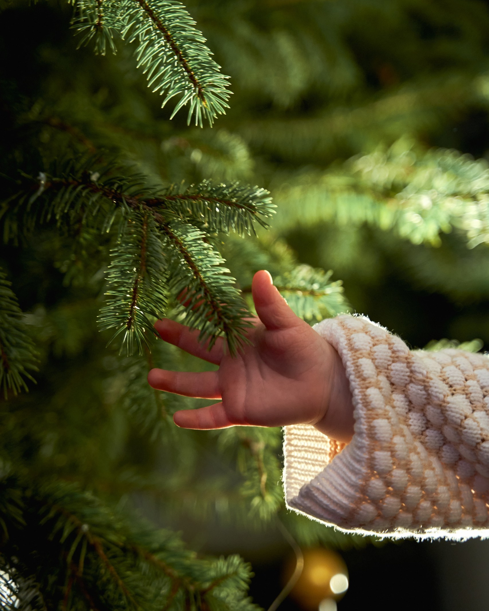 Стоимость свадебной фотосъёмки TWINS STUDIO. ТВИНС СТУДИО — лучшие свадебные фотографы и видеографы в Краснодаре