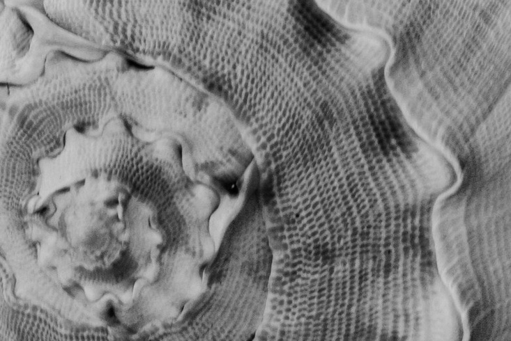 Обучение. Фотограф в Чите Костина Виктория