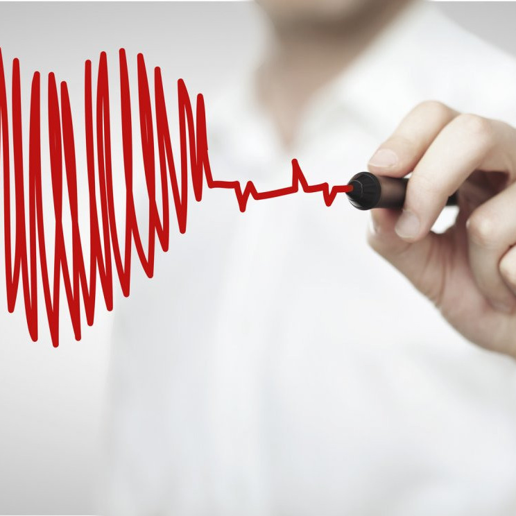 ЭКГ. Ветеринарная клиника «Доктор Ай» | Королев