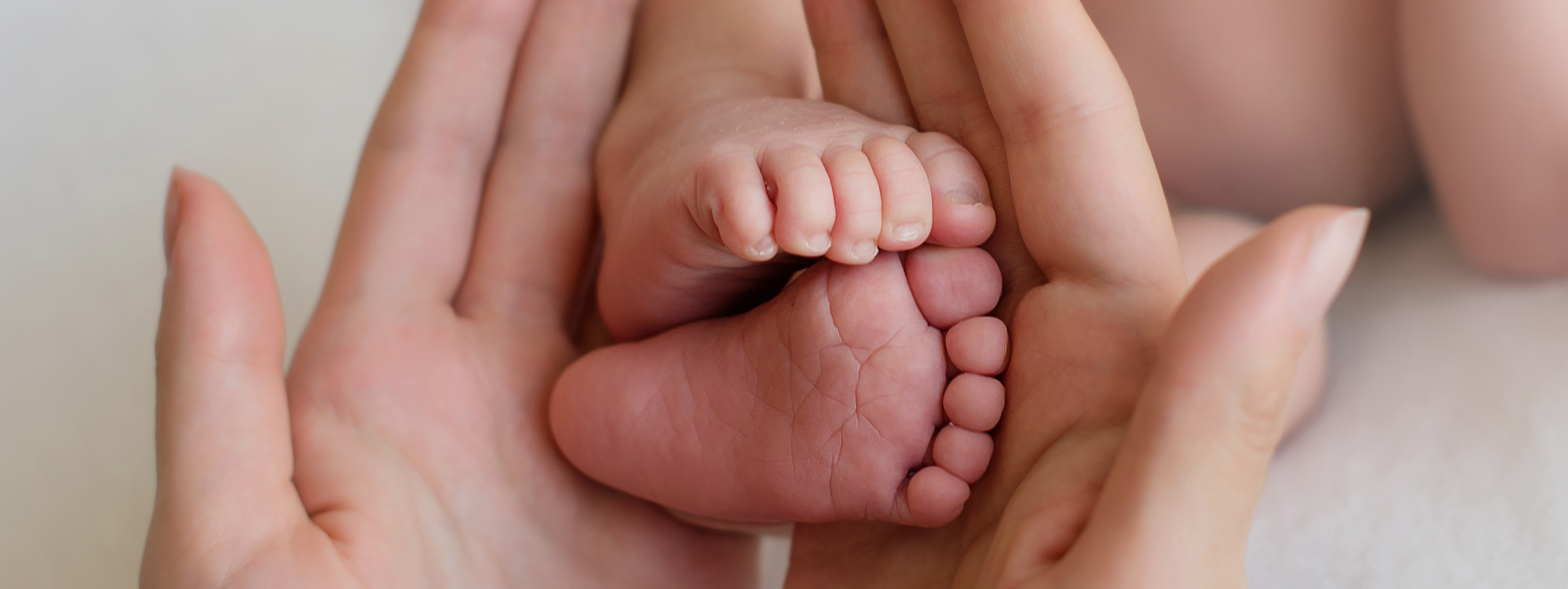 О съёмке новорожденных. Фотограф новорожденных Елена Панова