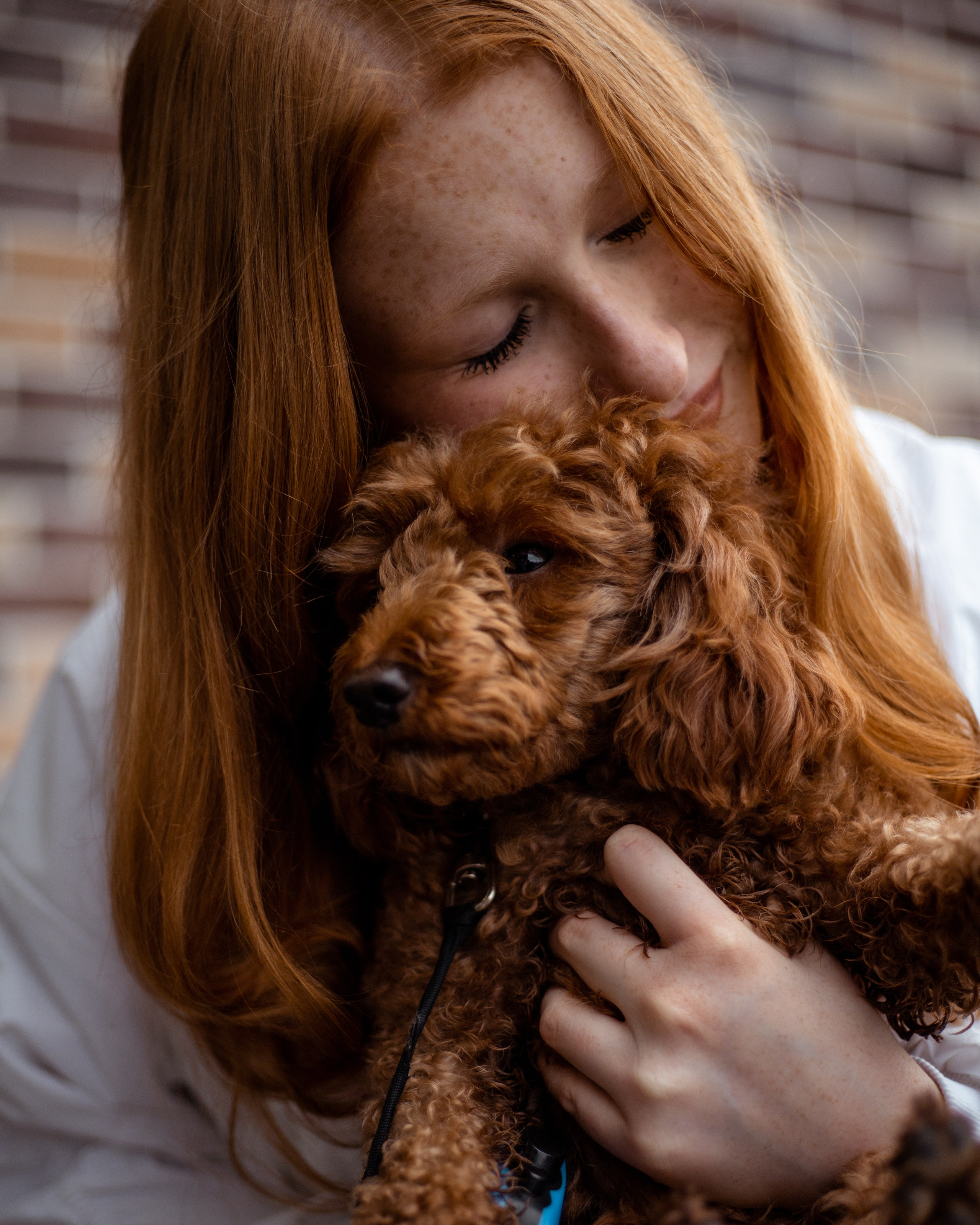 Услуги. Tenny-Tiny Ph