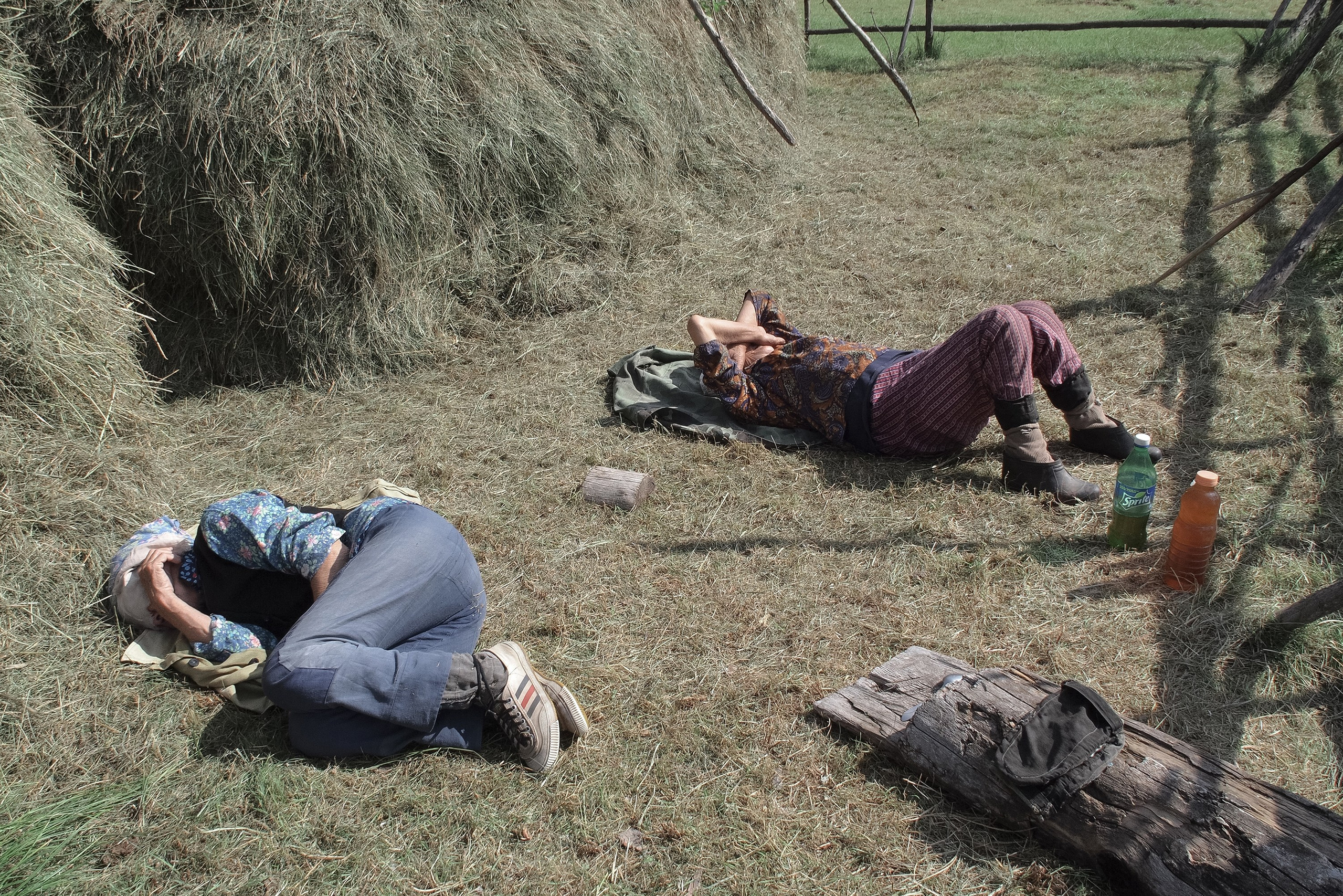 When the Birch Leaves Shine. Slava Lyu-fa