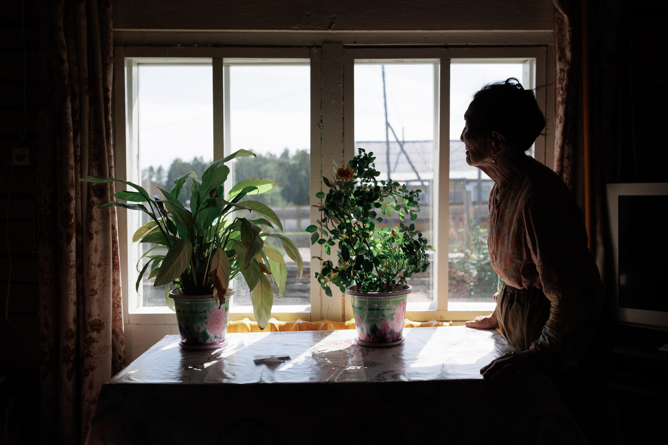 When the Birch Leaves Shine. Slava Lyu-fa