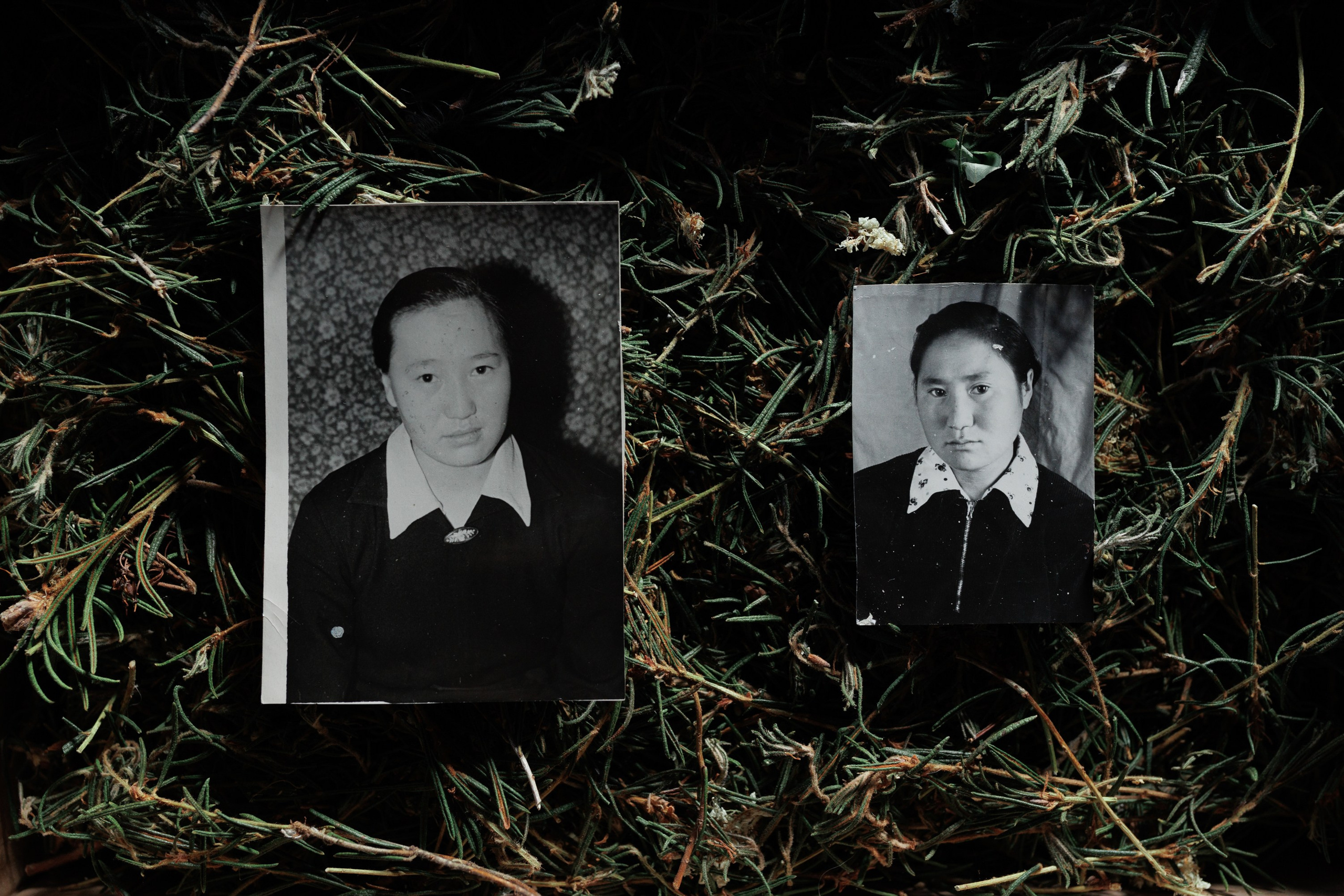 When the Birch Leaves Shine. Slava Lyu-fa