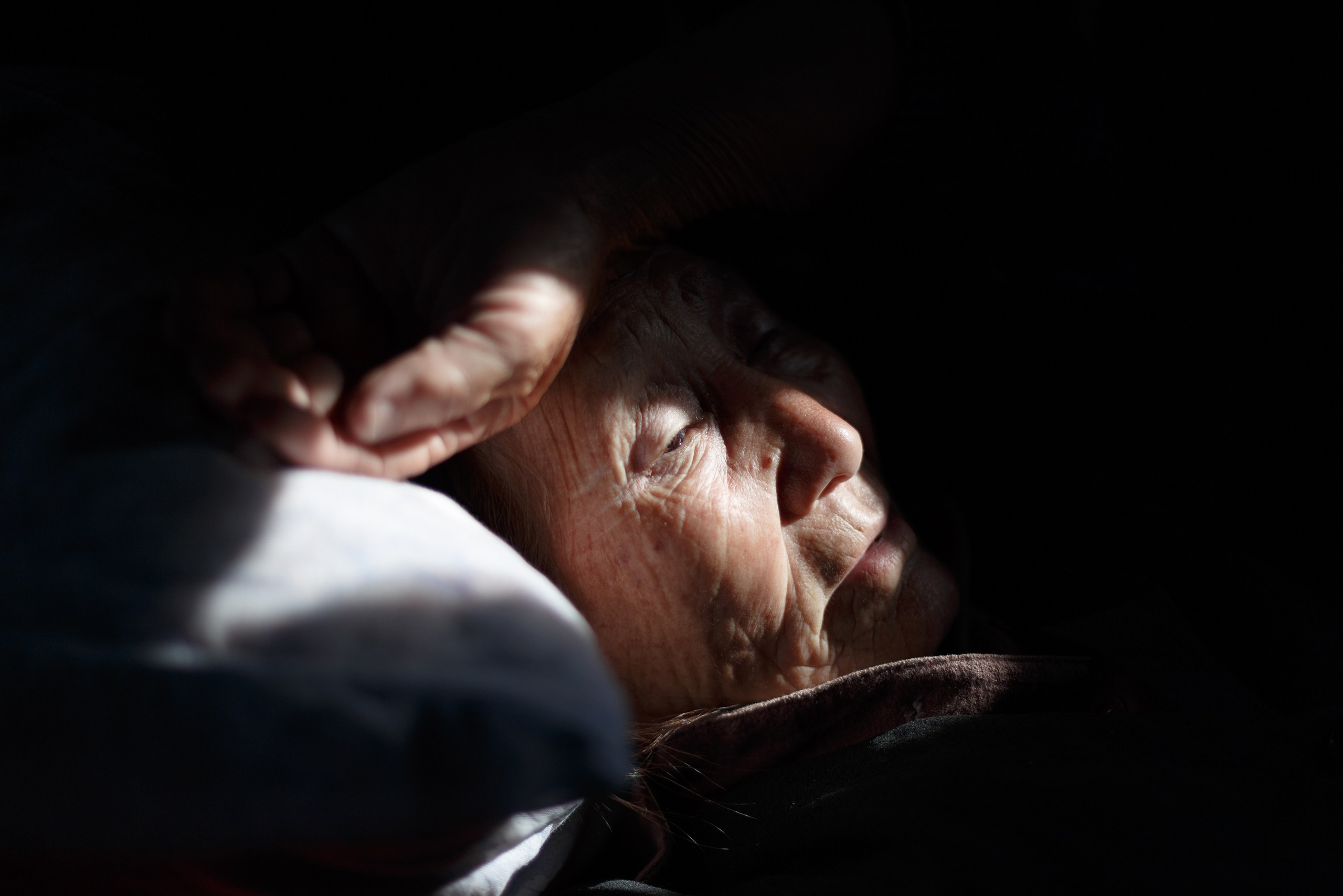 When the Birch Leaves Shine. Slava Lyu-fa