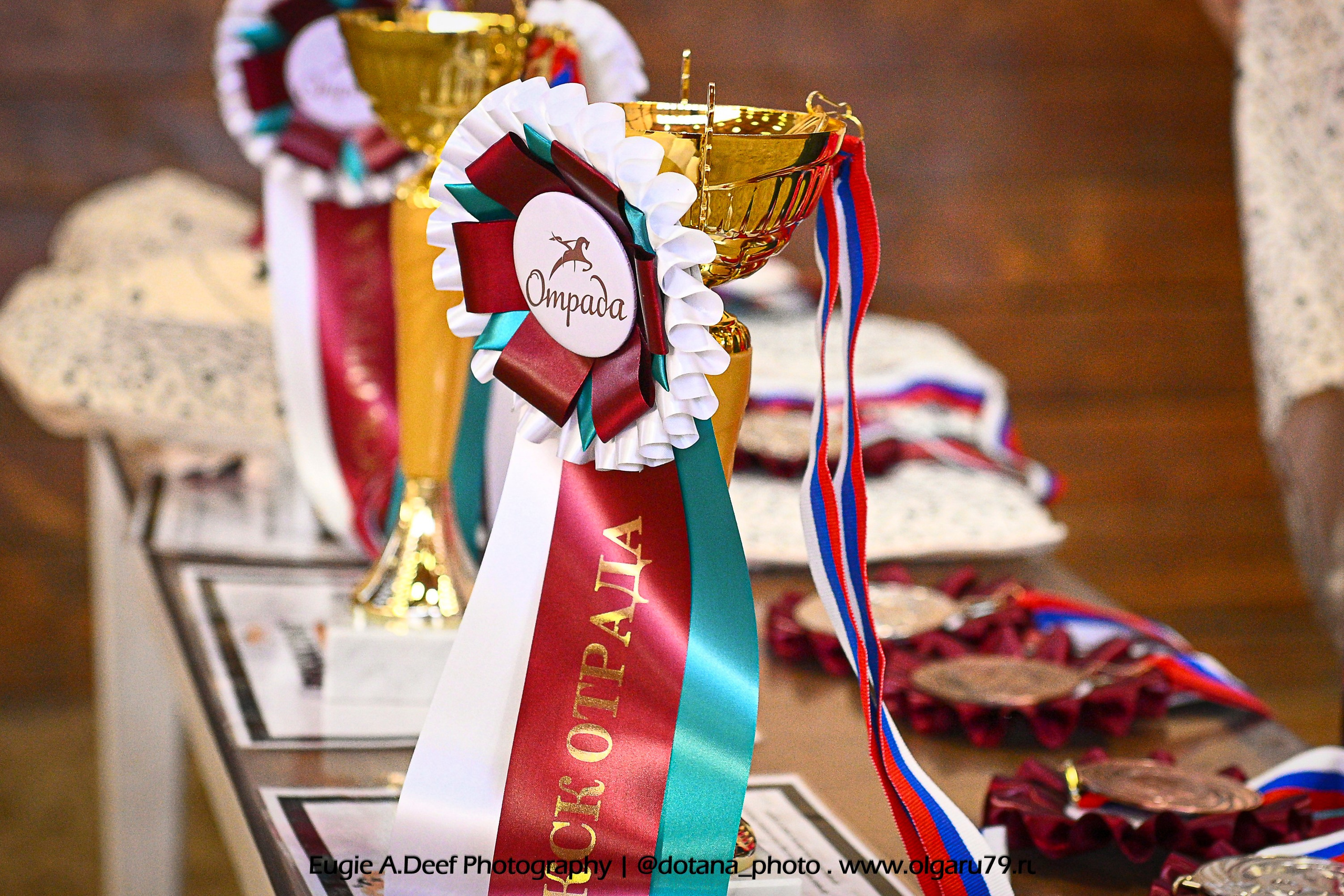 2026-01-31 КСК ОТРАДА (ВЫЕЗДКА). ТУРНИРНАЯ КОННАЯ ФОТОГРАФИЯ, Руднева Ольга и Евгений Адеев