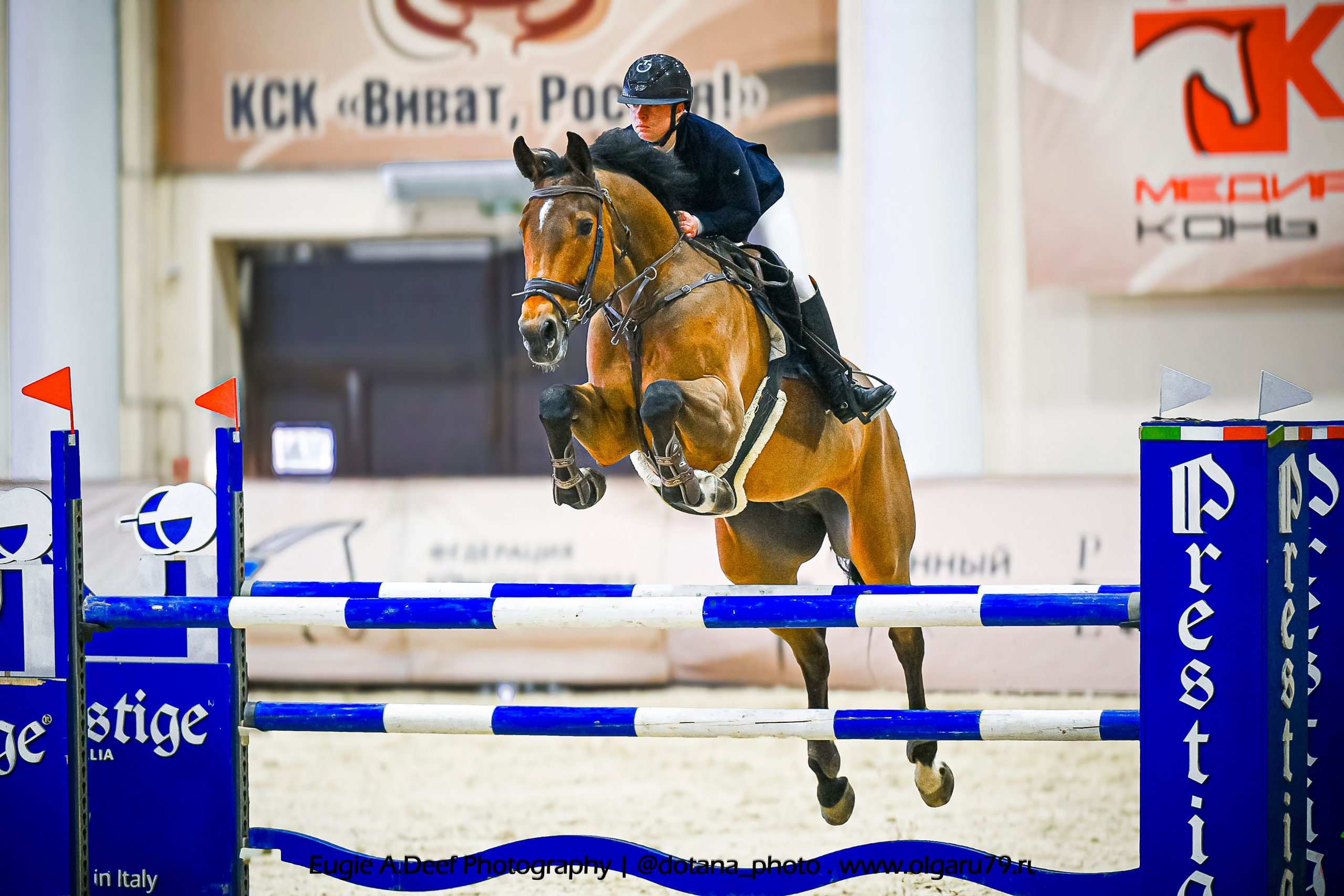 2026-01-30 января — 01 февраля «Виват, Россия!» Конкурный бум. ТУРНИРНАЯ КОННАЯ ФОТОГРАФИЯ, Руднева Ольга и Евгений Адеев