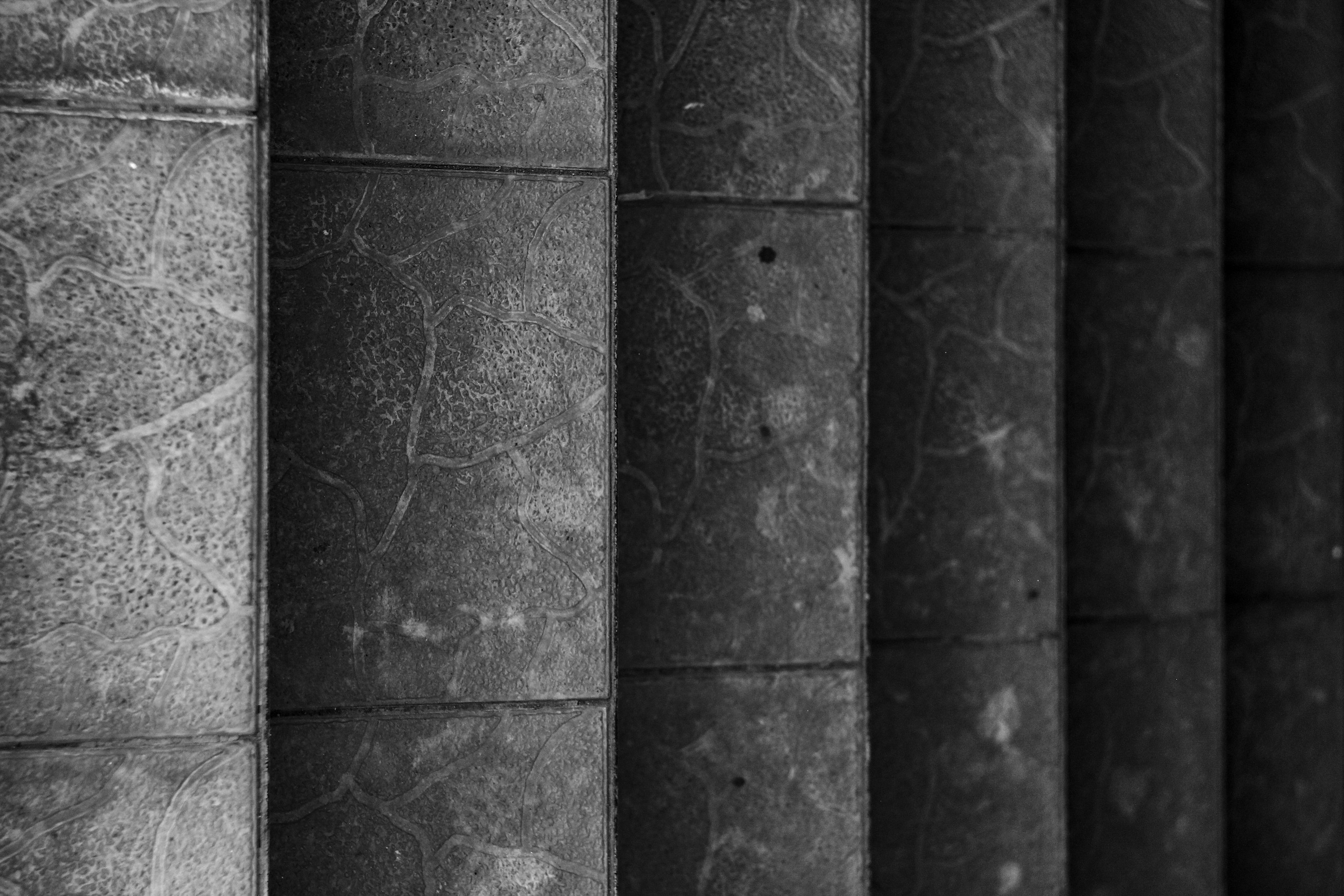 Весна 2023 года. Фотограф Иркутск Анастасия Ботороева