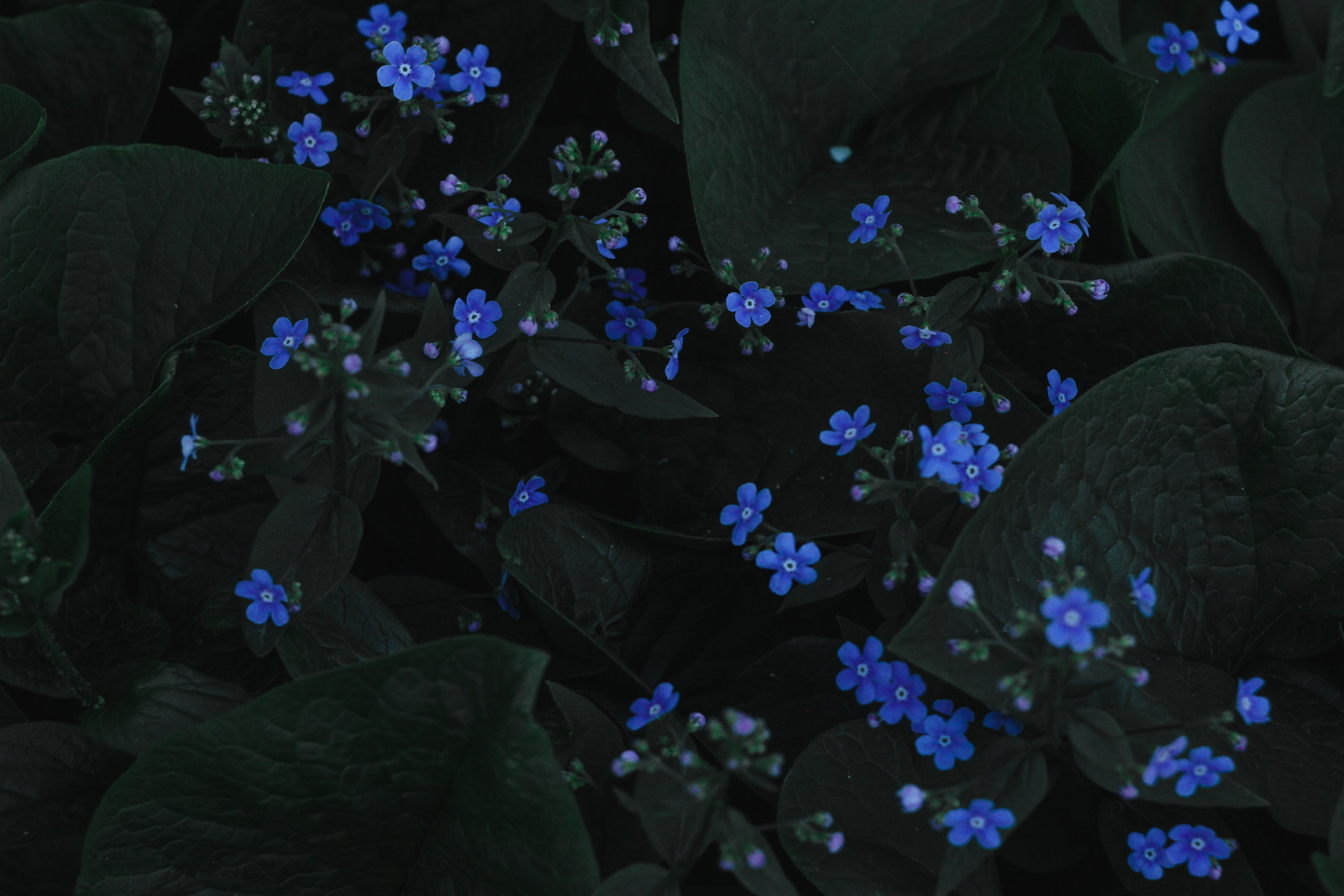 Весна 2023 года. Фотограф Иркутск Анастасия Ботороева