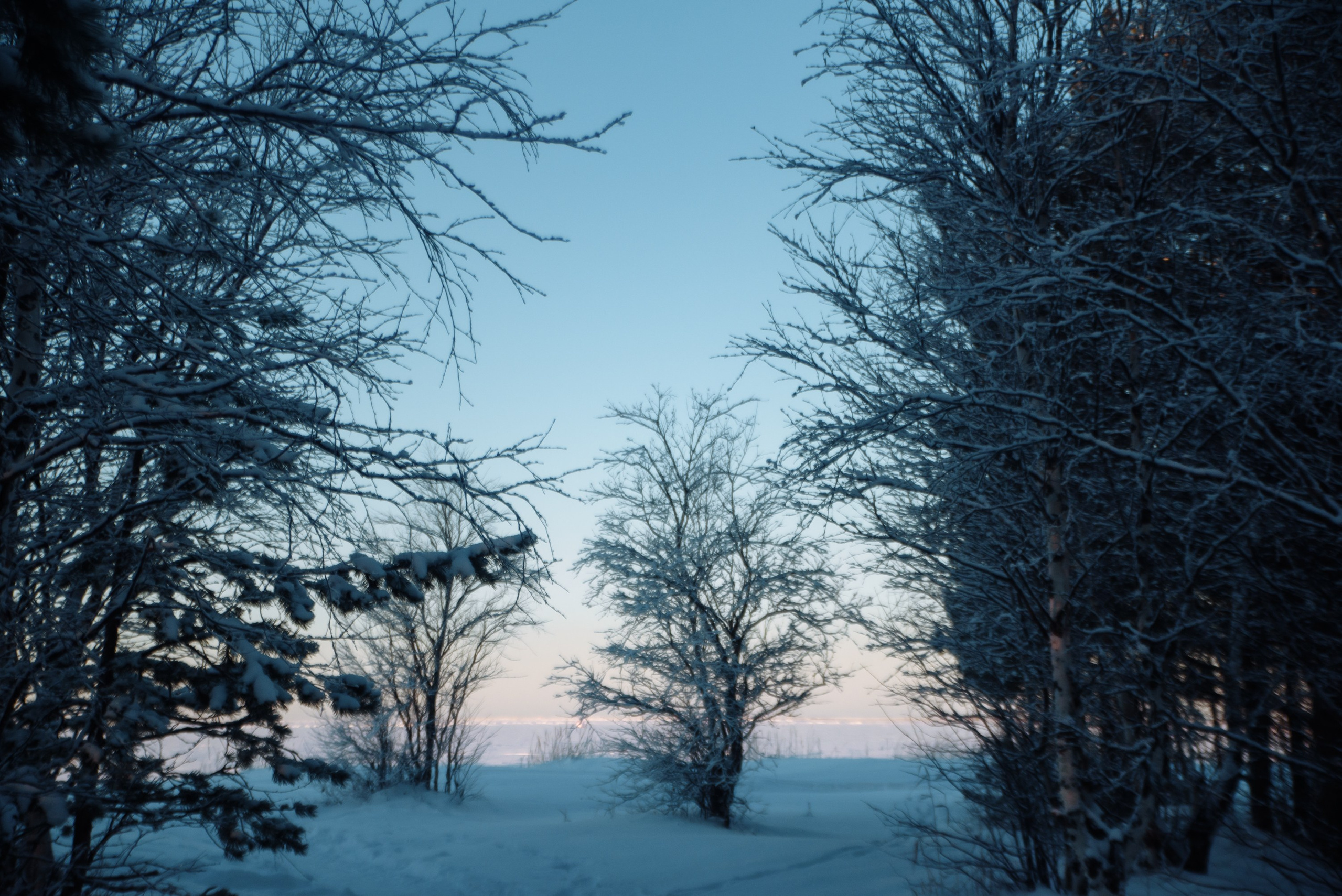 Путешествие в зимний Архангельск. Портретный фотограф Москва, репортаж и естественная постановка