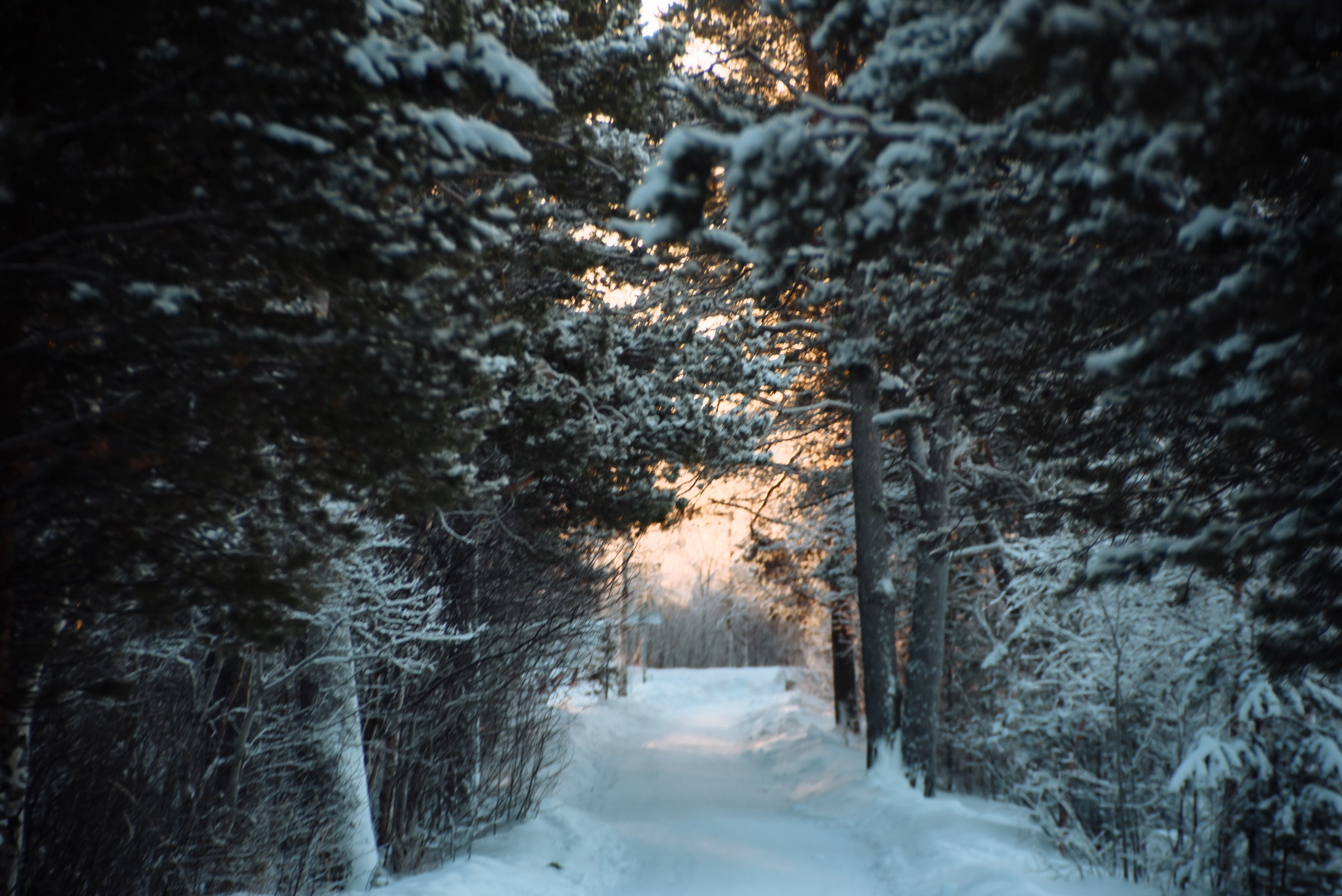 Путешествие в зимний Архангельск. Портретный фотограф Москва, репортаж и естественная постановка