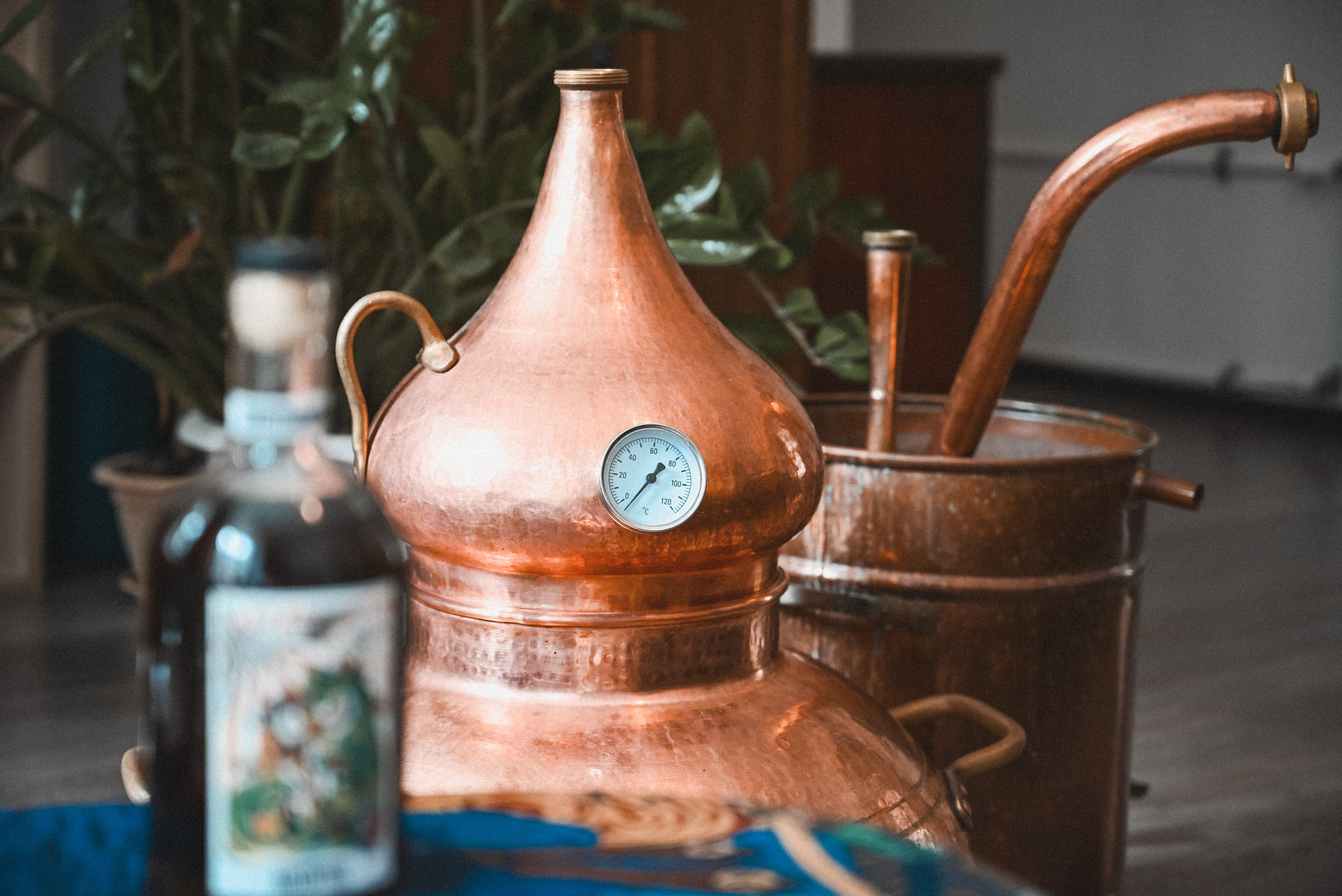 Абсент: мой путь от любопытства до мастерства. Фотограф в Санкт-Петербурге Анна Гончар