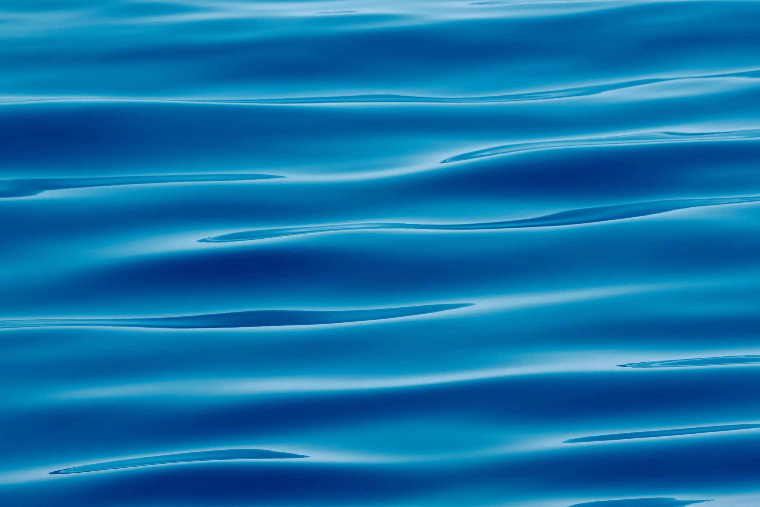 Работы, на дереве, холсте, стекле, которые можно приобрести. Яркие фото на Чёрном море