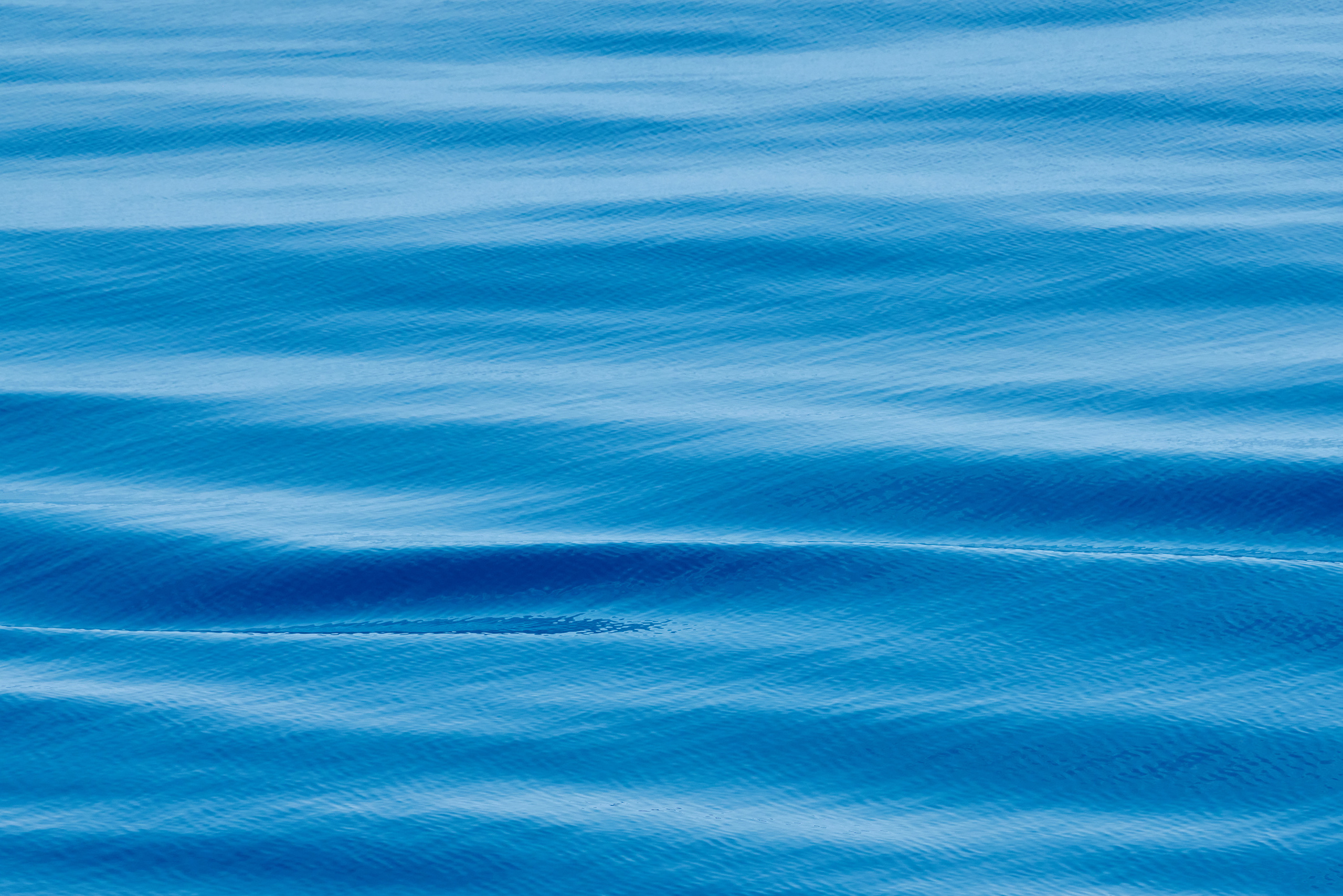 Работы, на дереве, холсте, стекле, которые можно приобрести. Яркие фото на Чёрном море