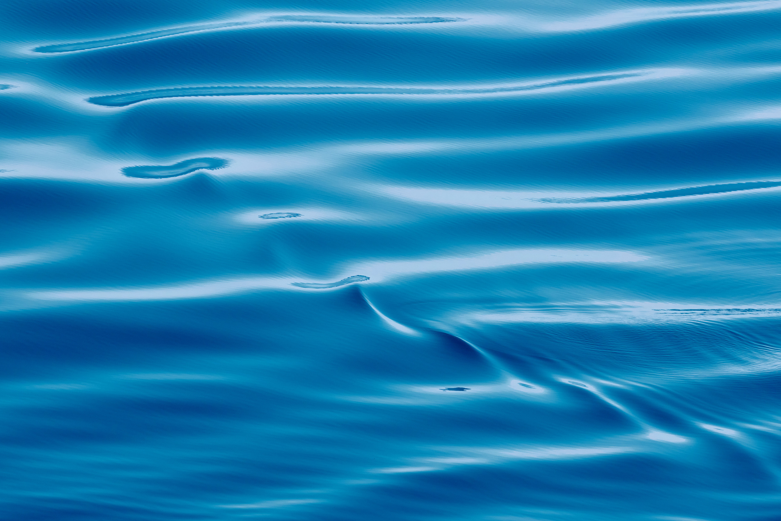 Работы, на дереве, холсте, стекле, которые можно приобрести. Яркие фото на Чёрном море