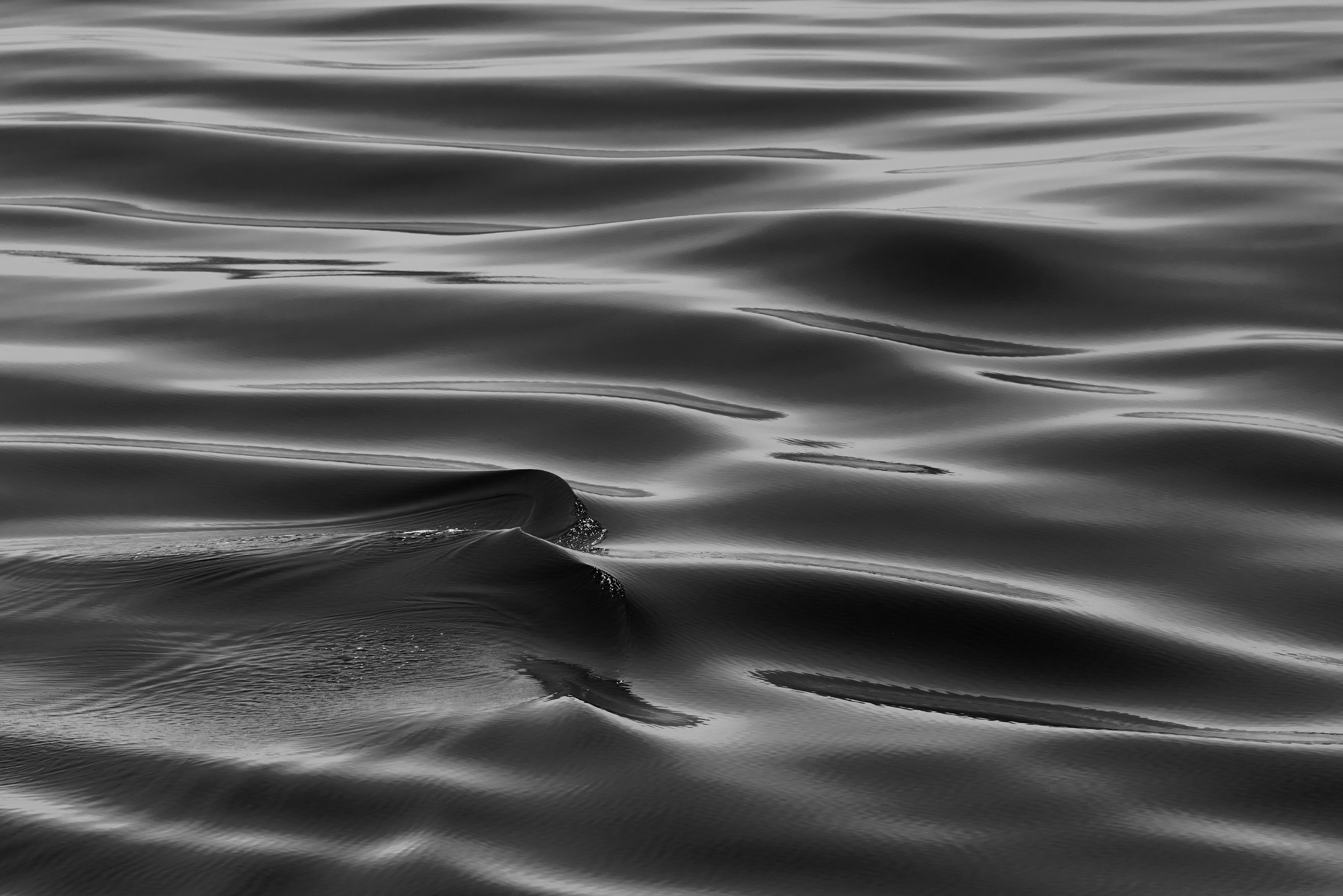 Работы, на дереве, холсте, стекле, которые можно приобрести. Яркие фото на Чёрном море