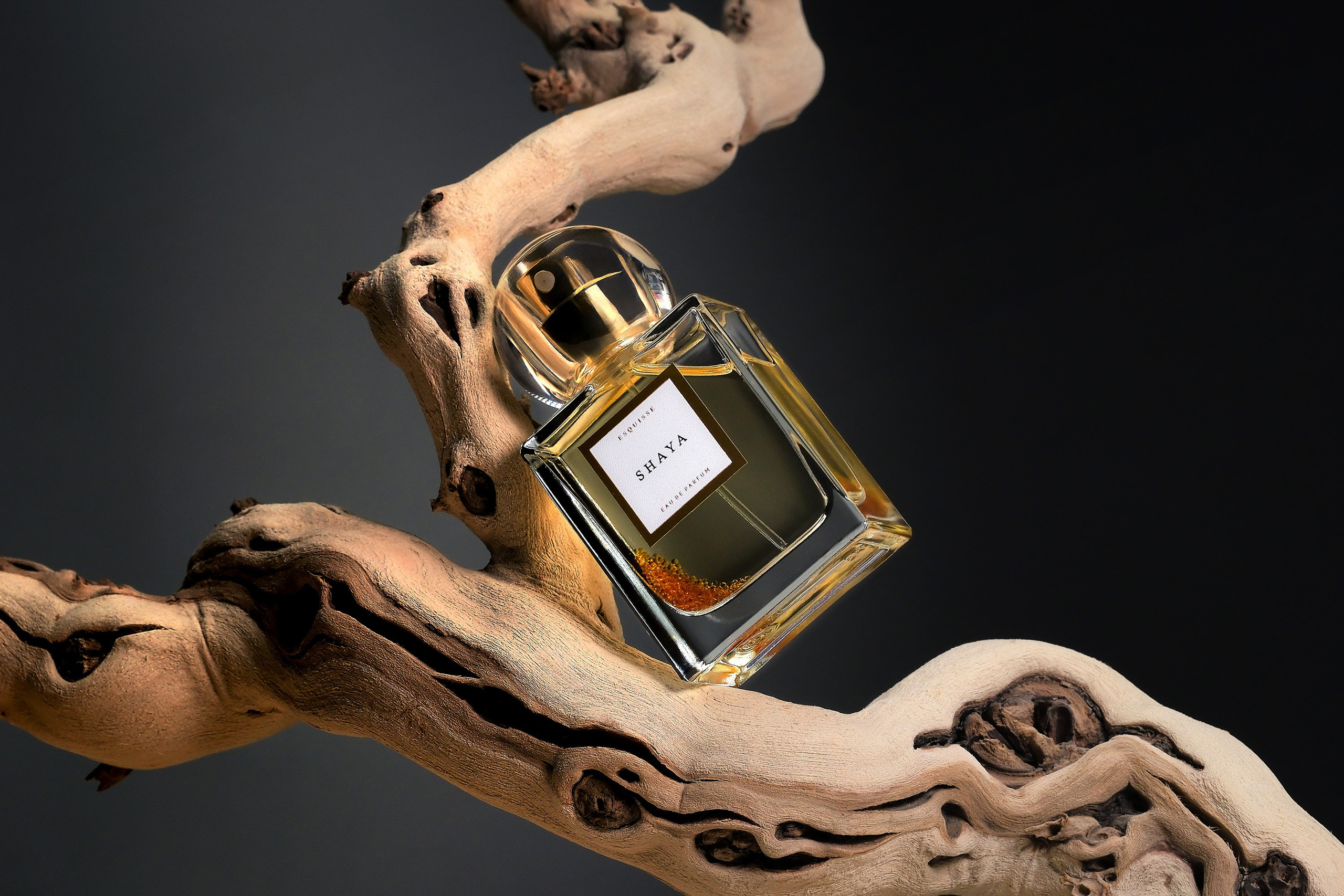 Как правильно фотографировать. С чего начать создание шедевра. Видео для рекламы бизнеса