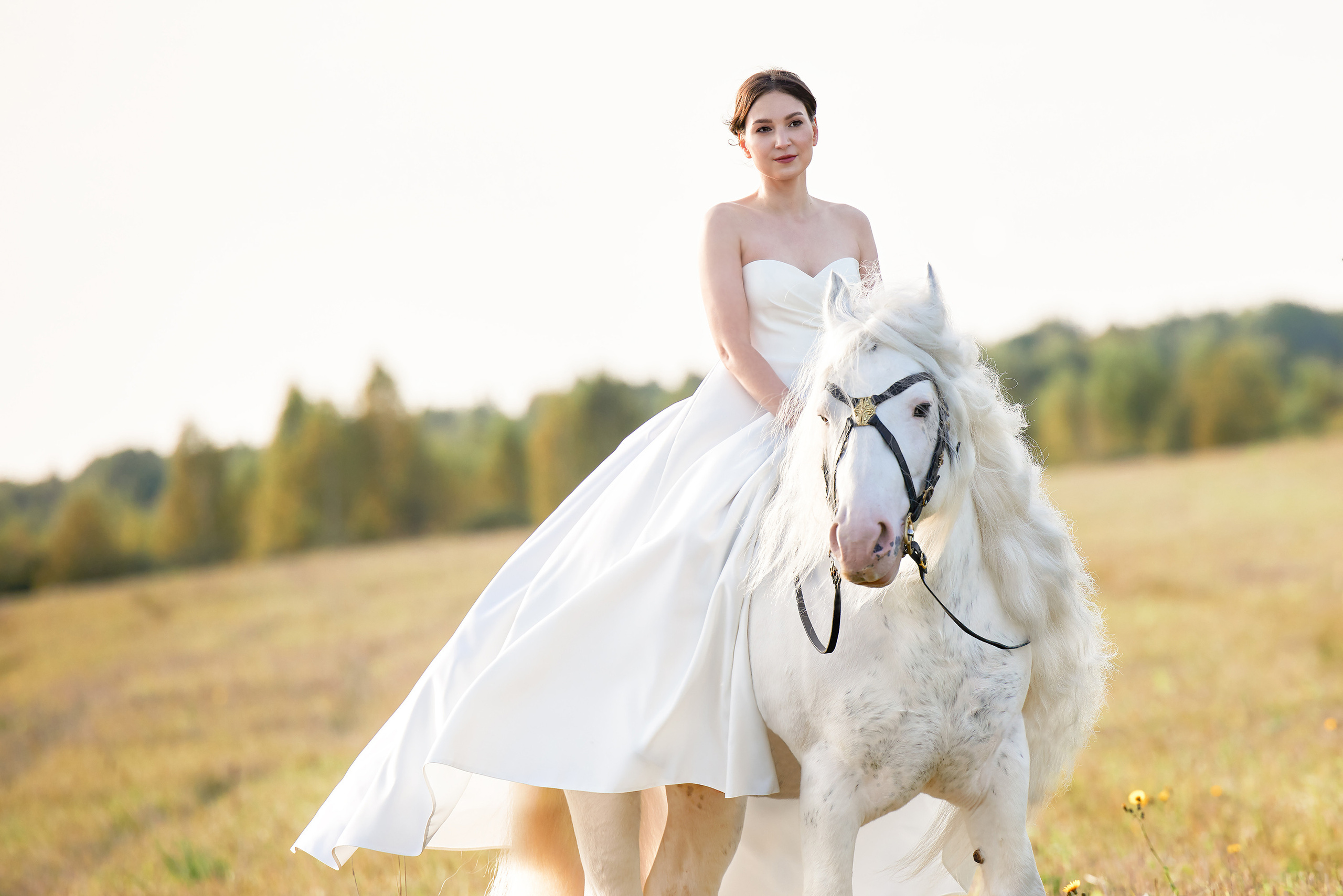 Услуги. Mrs.Aquarelia Конный фотограф Марианна Леонтьева