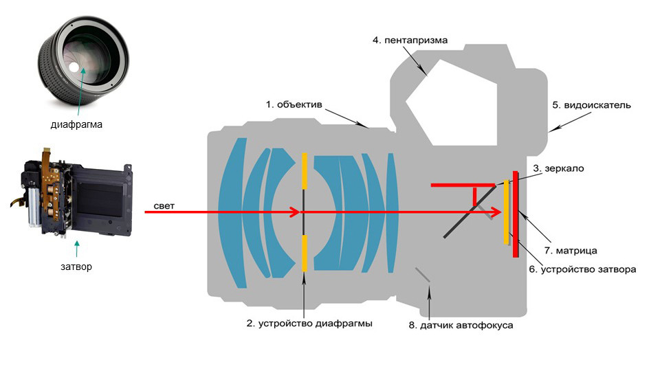 Занятие № 1. FOTOFAQ SKOOL г. Санкт-Петербург: очные, дистанционные и онлайн курсы фотографии