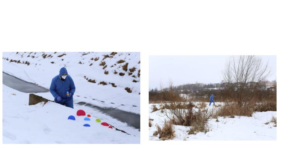 О школе walking