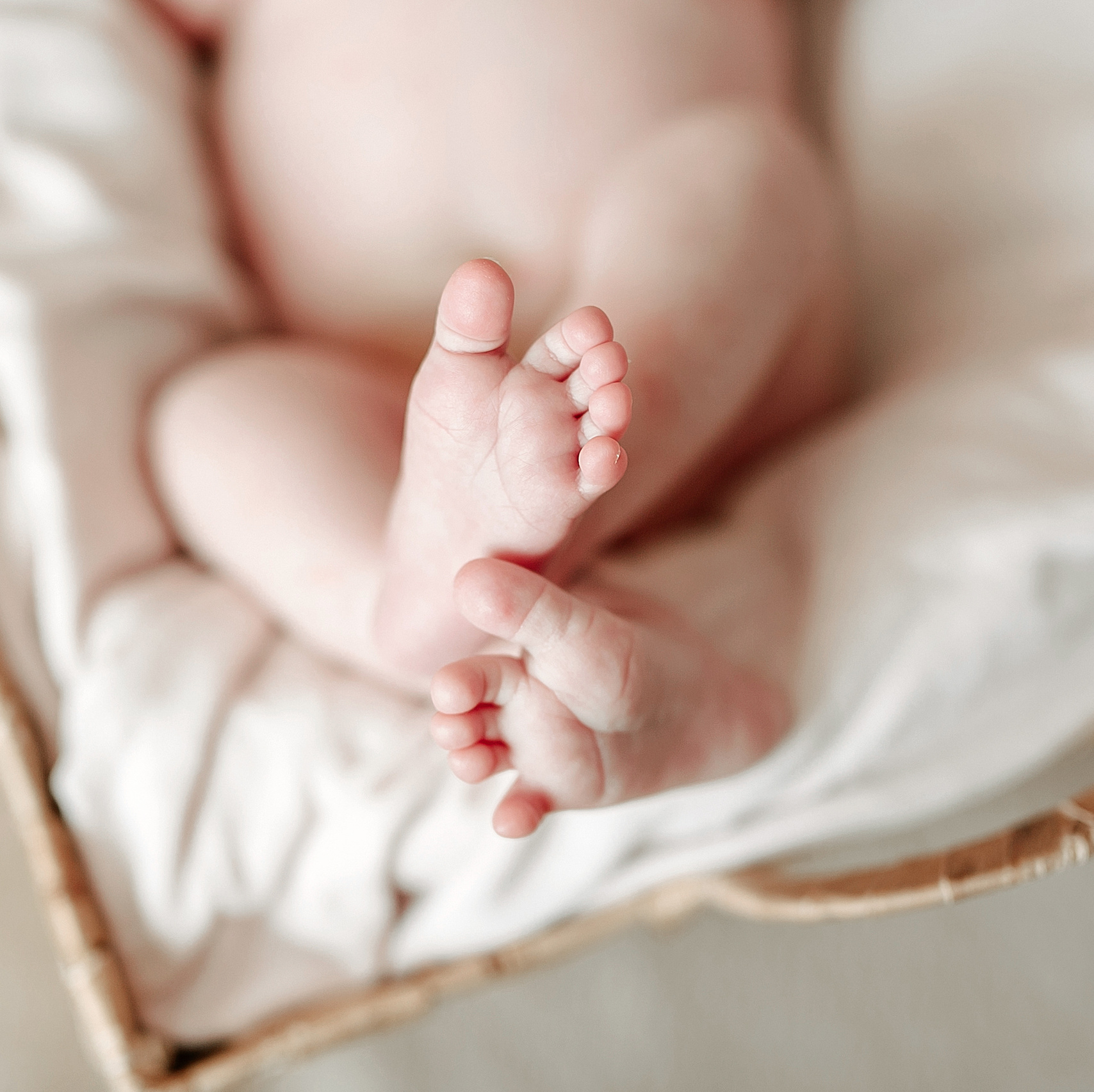 Услуги. Семейный фотограф Карина Маффи