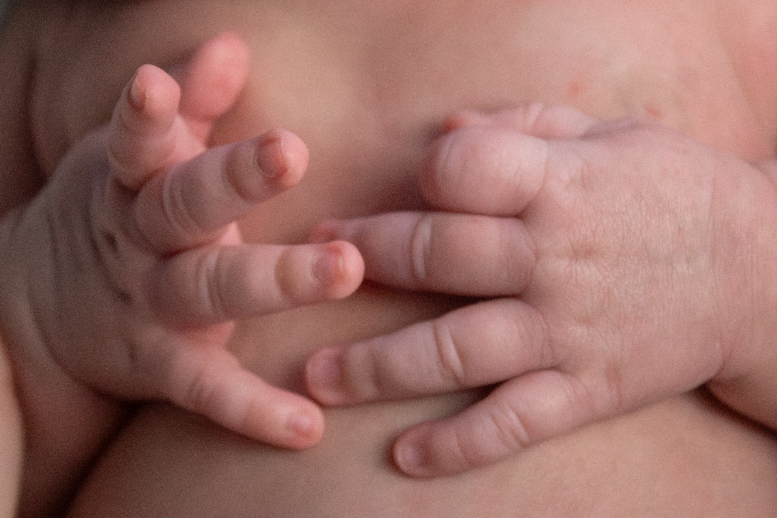 Фотограф новорожденных Новосибирск