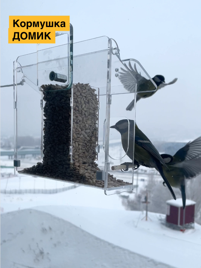 Съемка птиц на кормушке. Кормушки для птиц на окно Чирик-Чирик