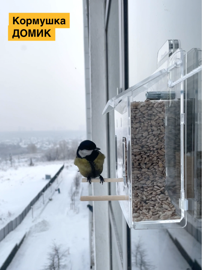 Съемка птиц на кормушке. Кормушки для птиц на окно Чирик-Чирик