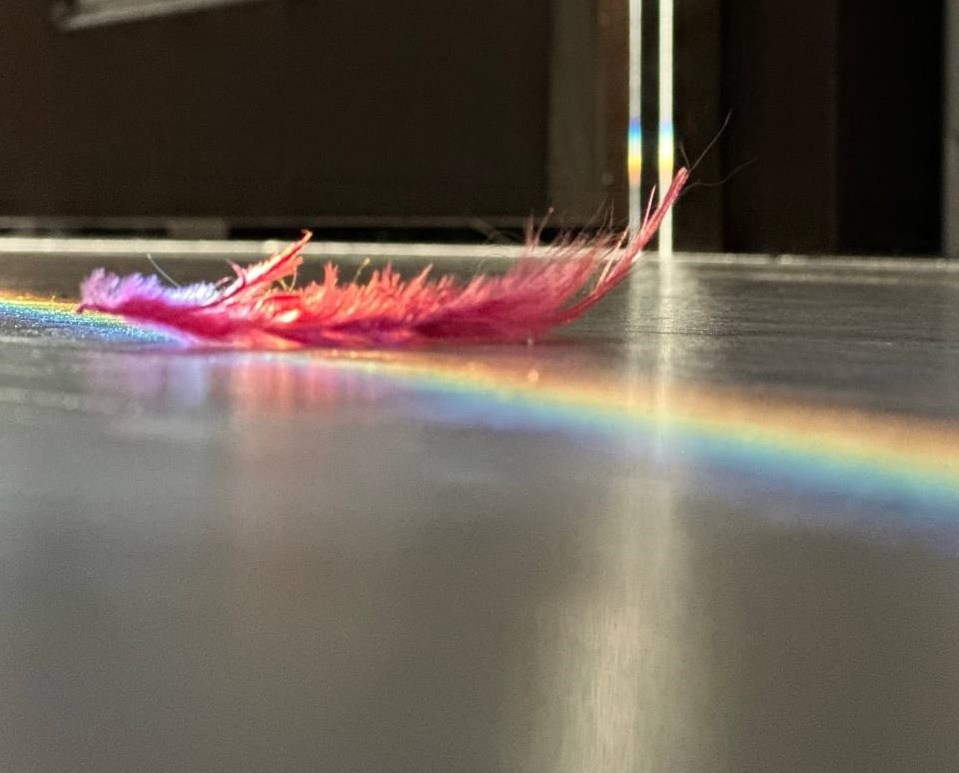 Дочка. Зойкин Максим Валерьевич