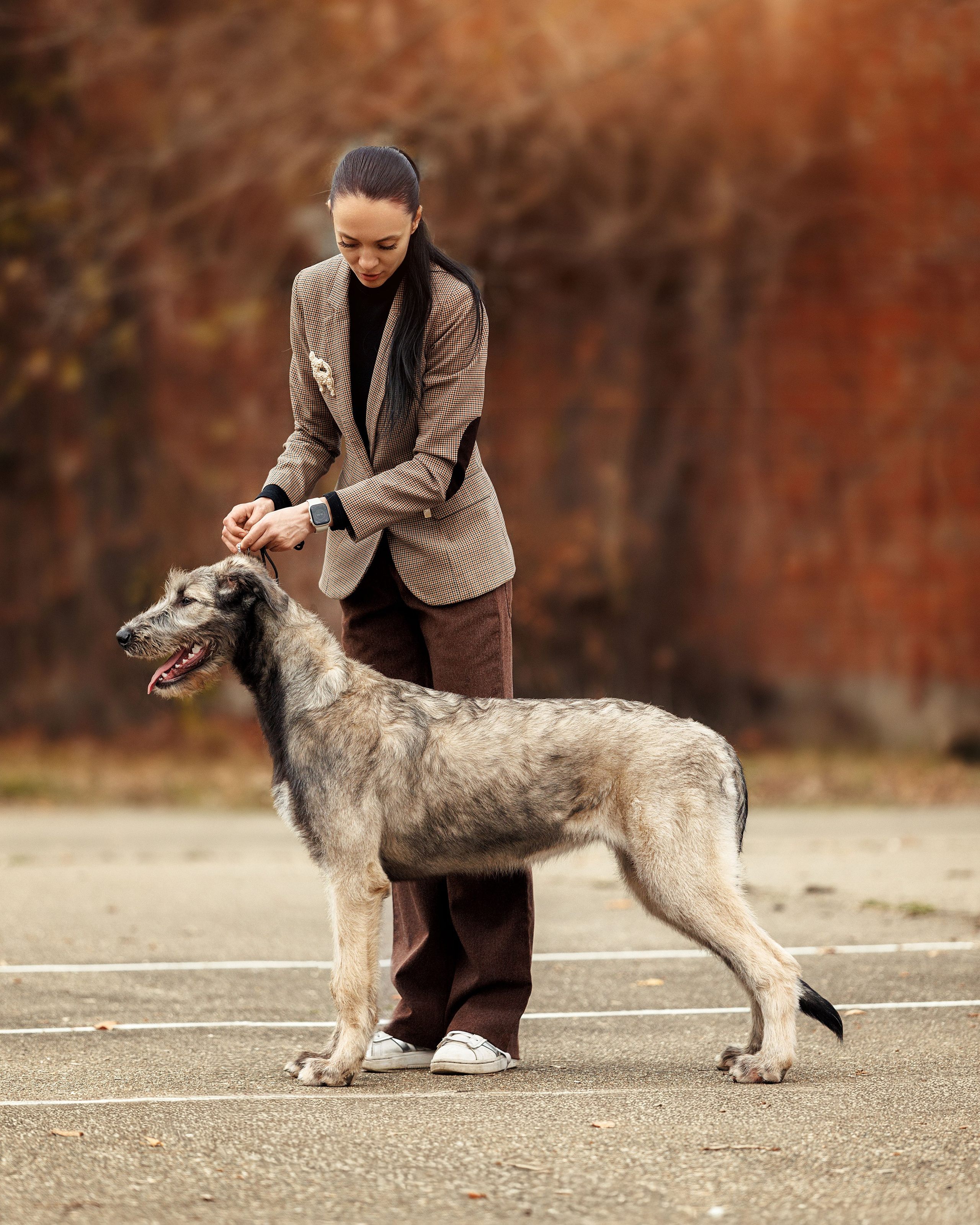 Экстерьер. Фотограф