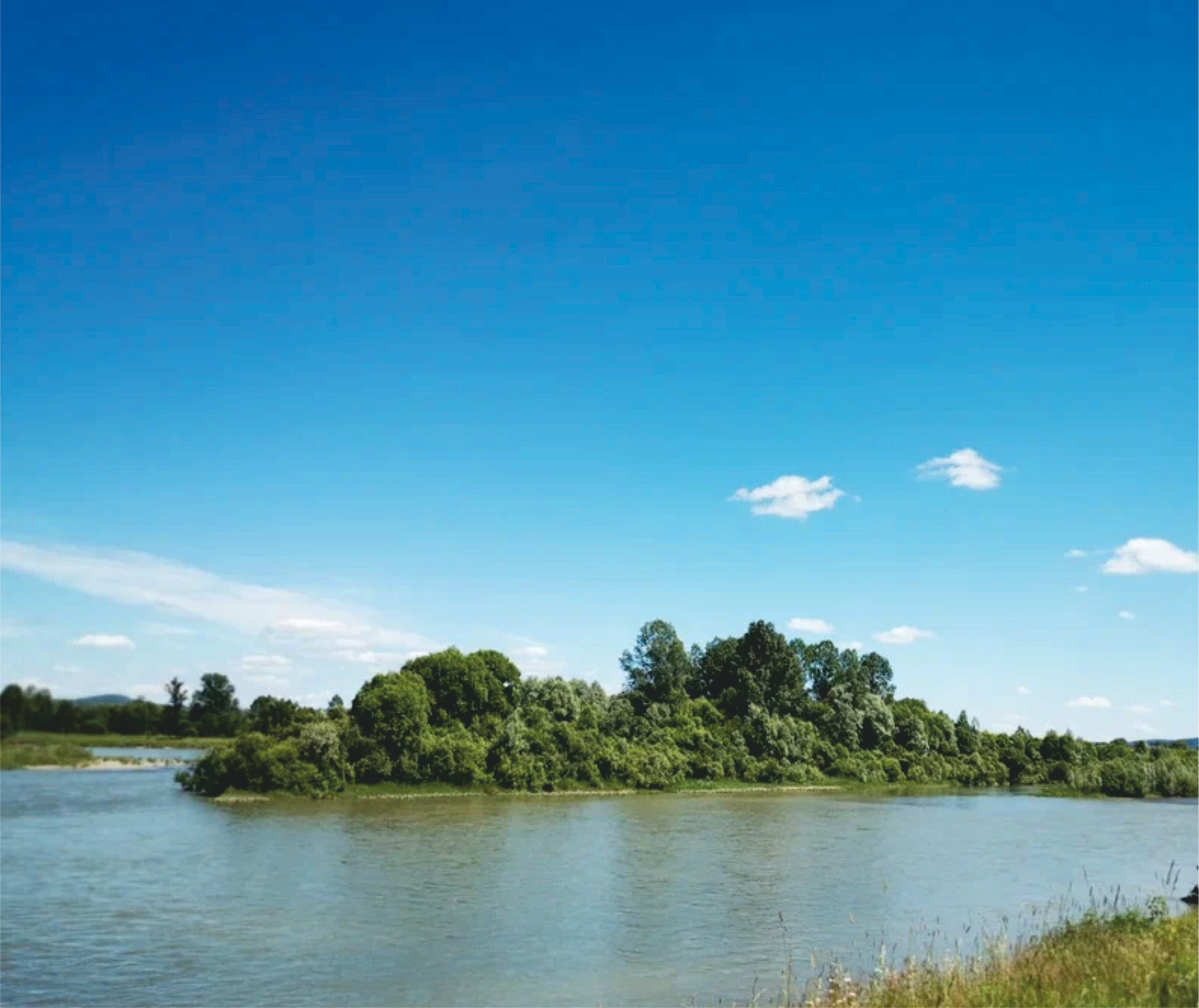 Озеро Куреево. Банк земельных участков Алтая