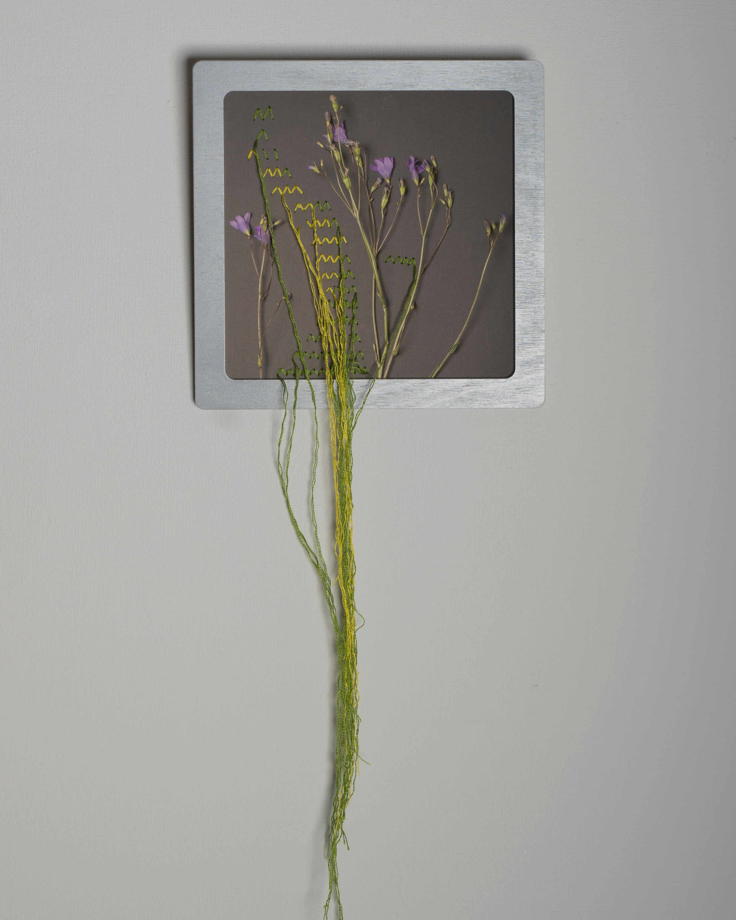 Работы приобрести. Фотохудожник АРТ-фотограф Ира Будниченко Москва