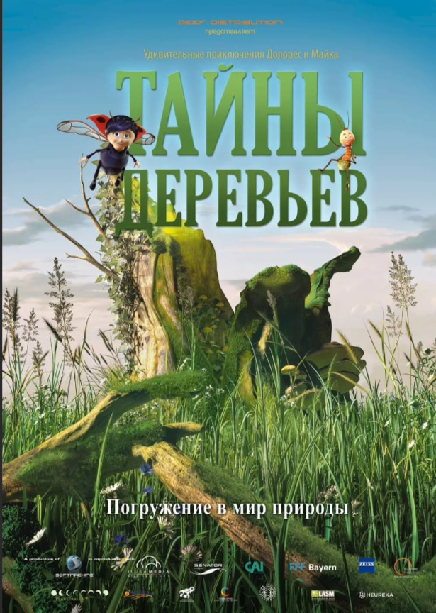 Фильмы для детского сада: Естествознание. Выездные Мероприятия в Екатеринбурге