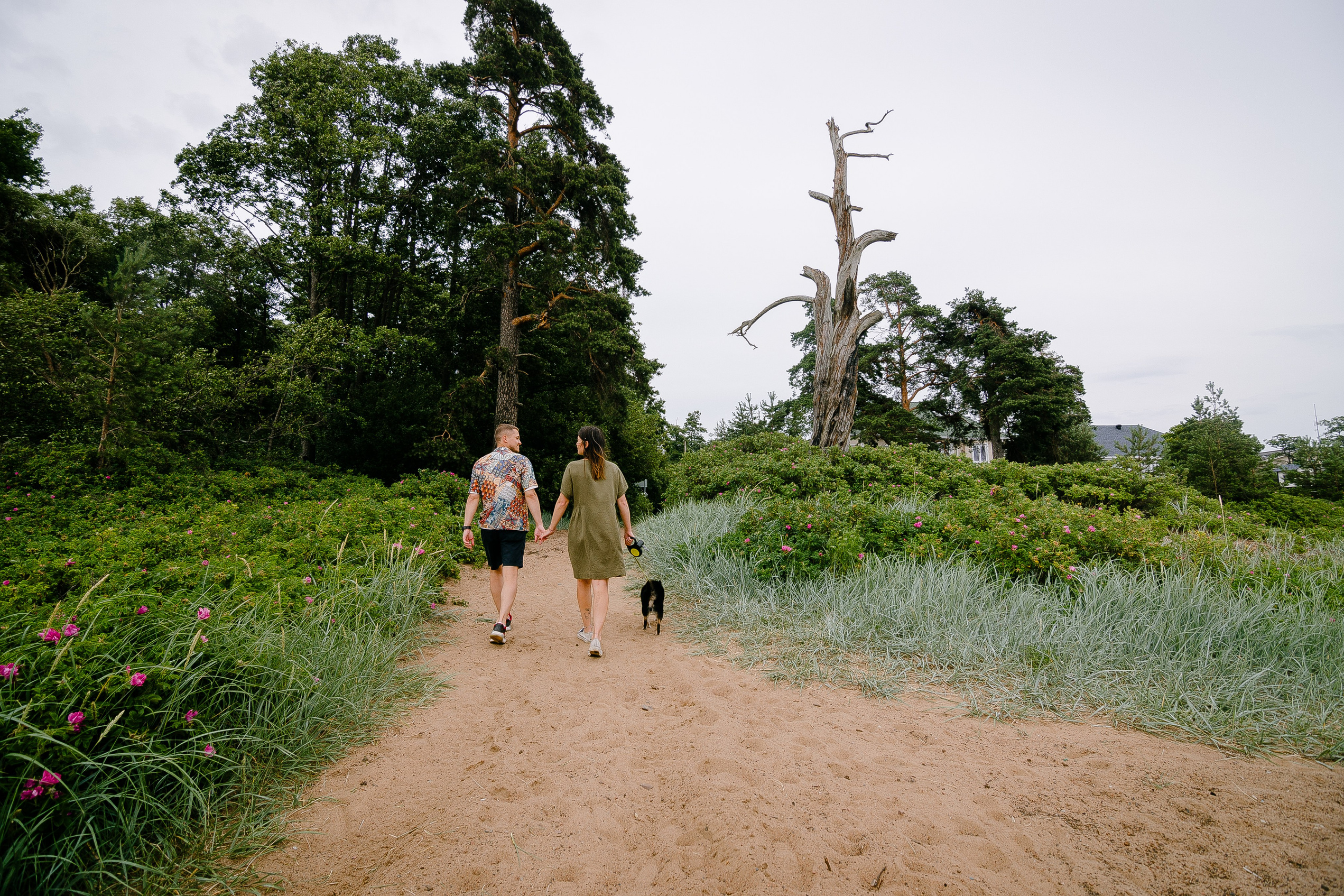 Услуги. Alice_insomnia