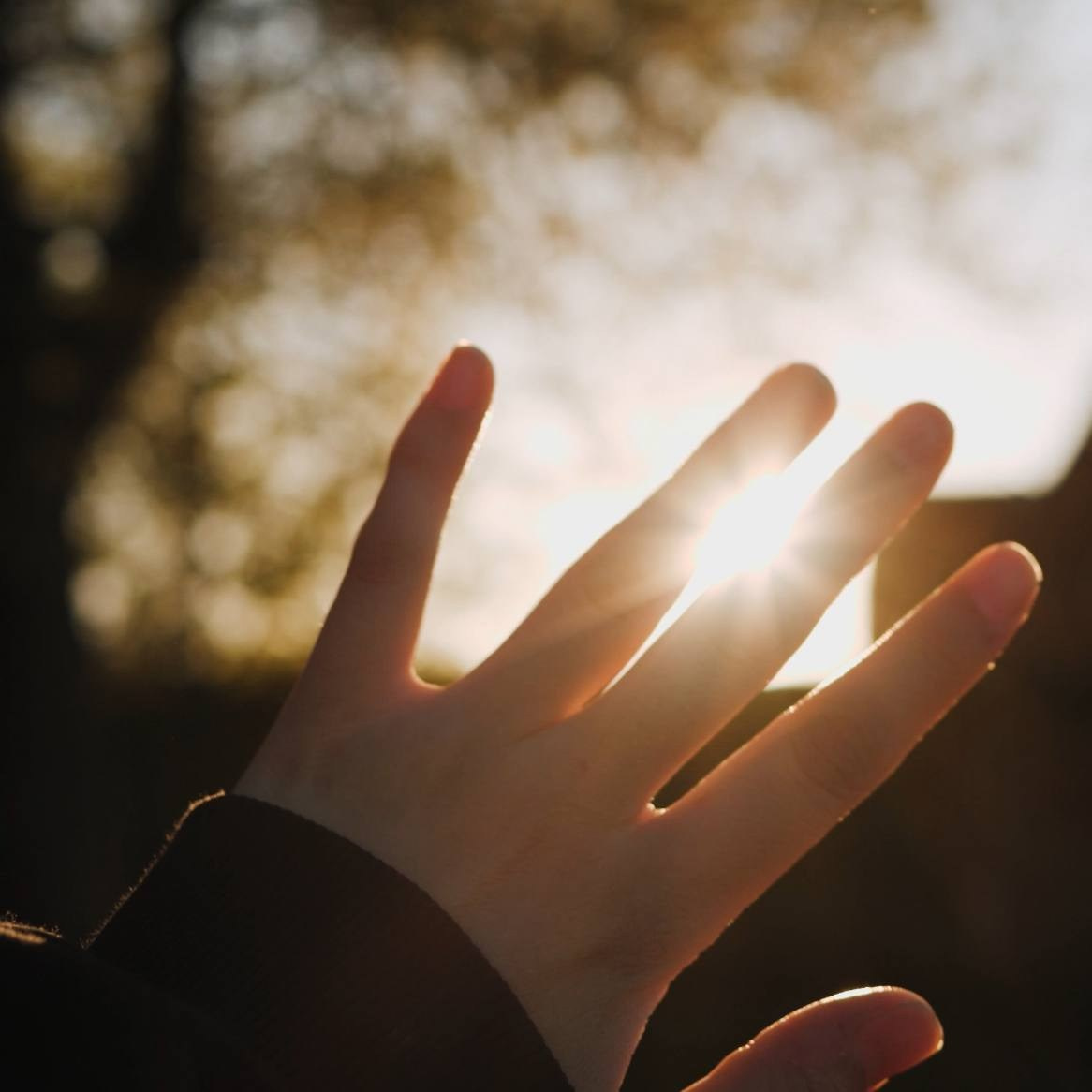 Новый интересный этап. Фотограф и видеограф Мария Банщикова, Солнечногорск, Москва