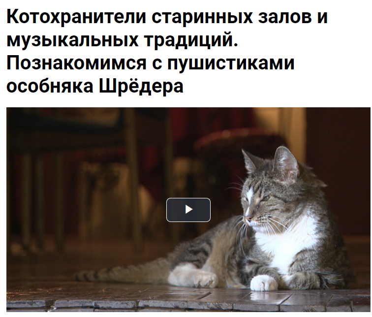 Новости. Дом Шрёдера