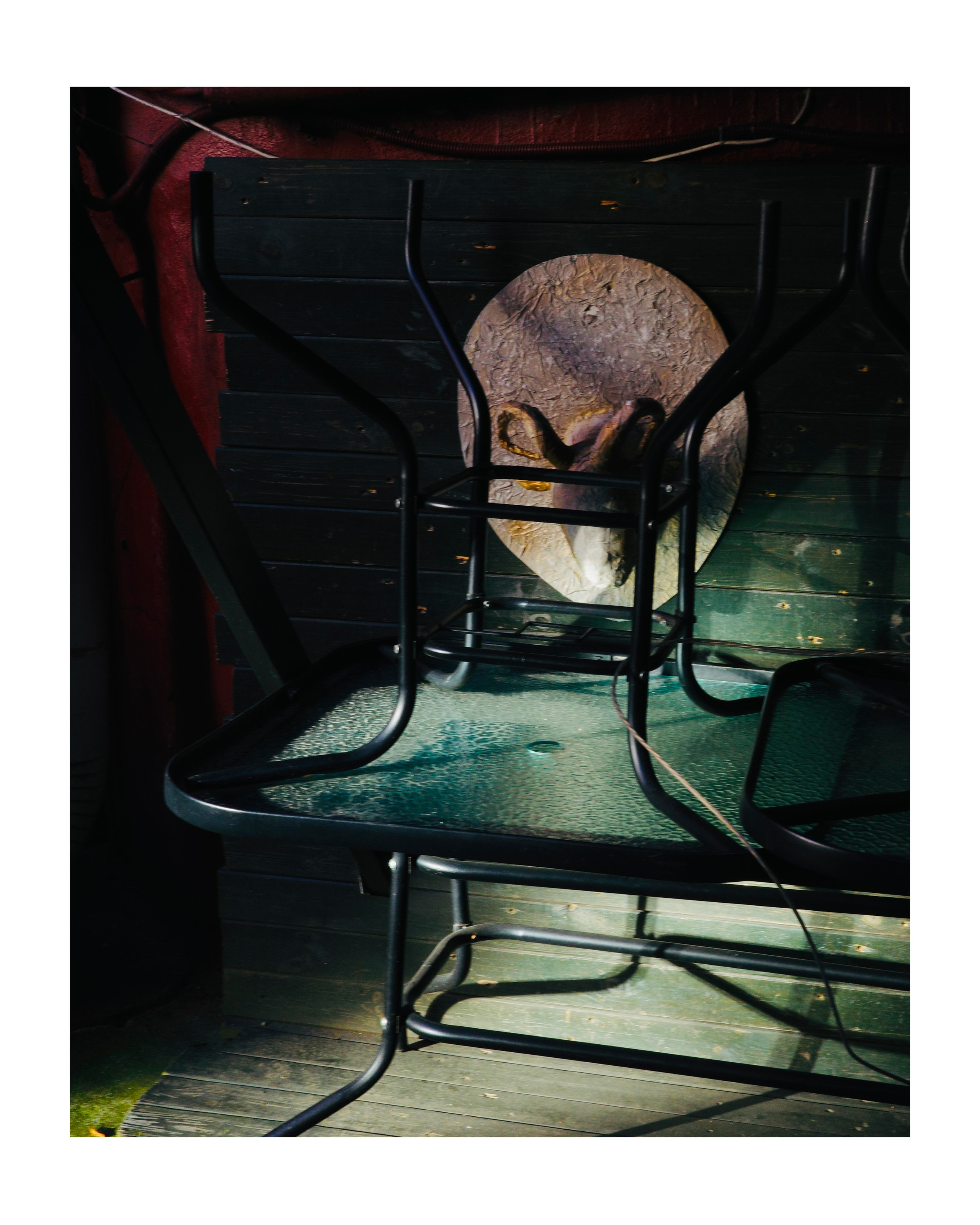 Купить. Пылина Ирина — современная фотография